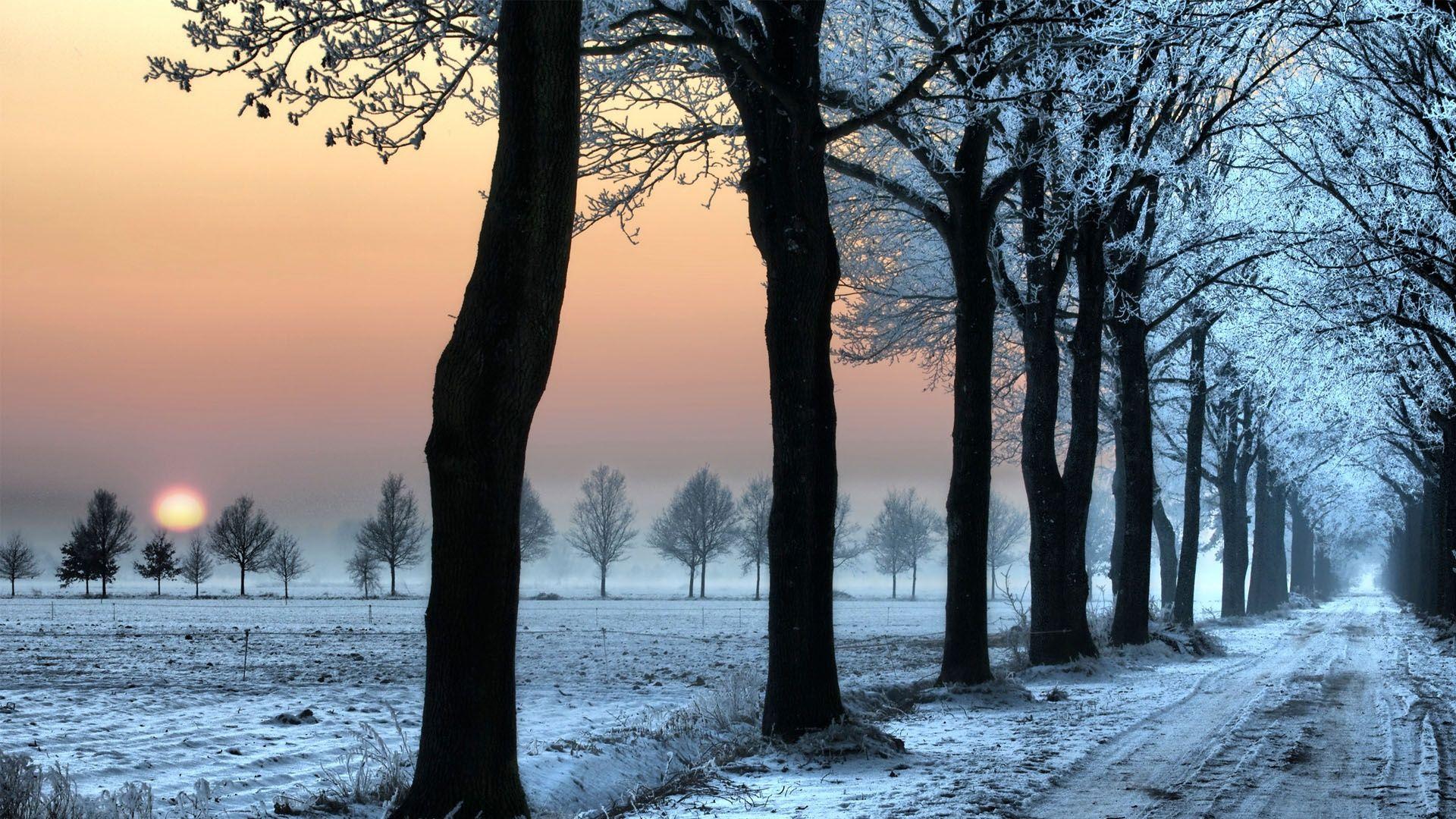 1920x1080 Holland Wallpaper
