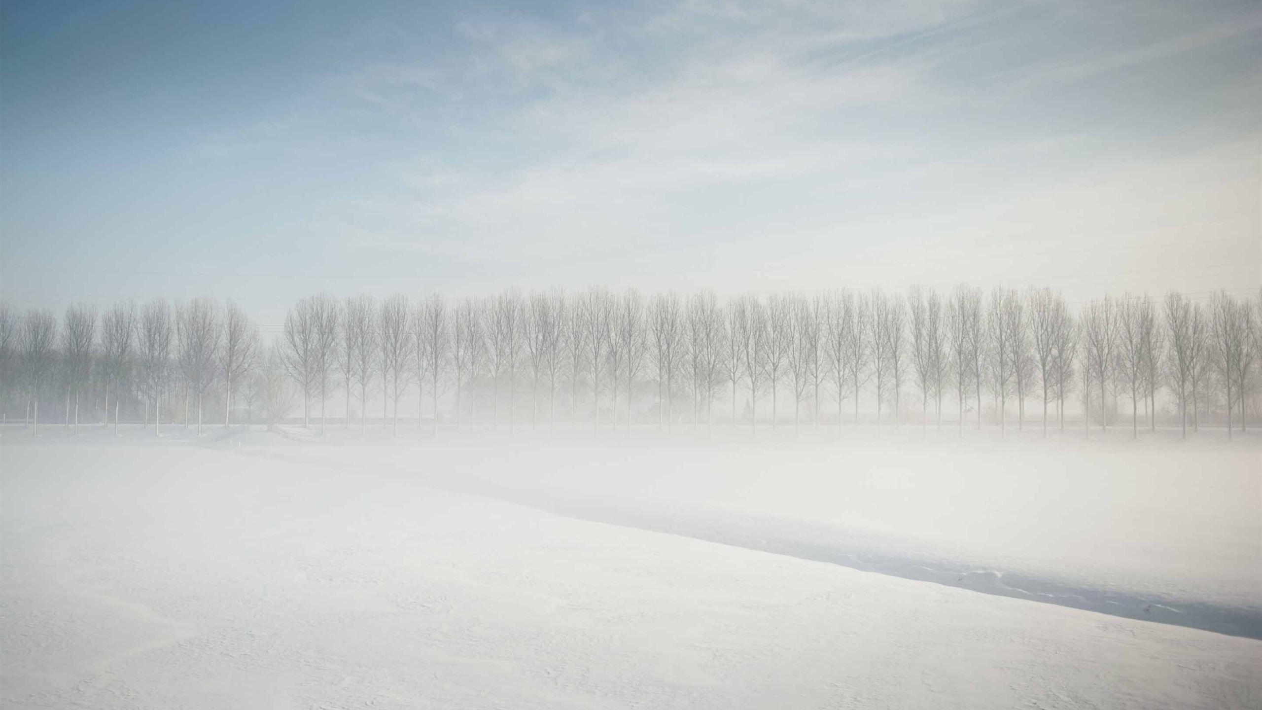 2560x1440 Winter In Holland MacBook Air Wallpaper Download