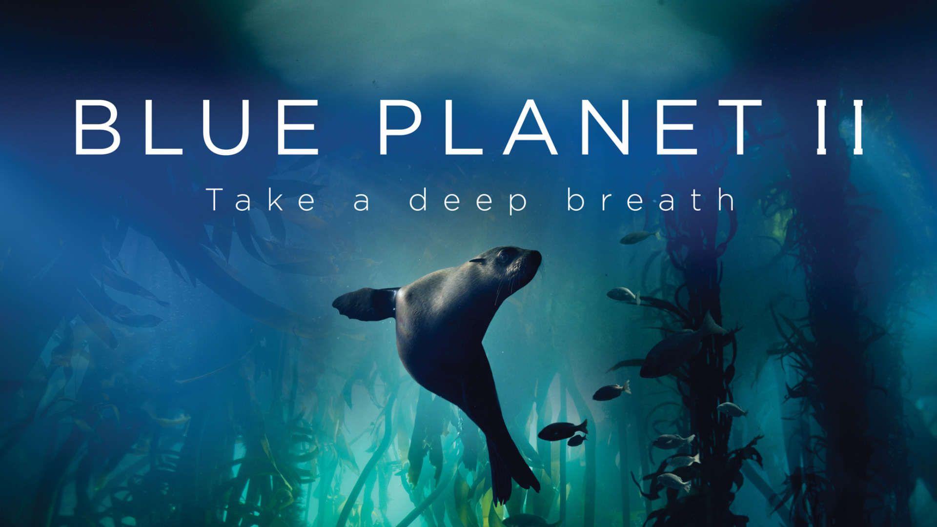 1920x1080 Blue Planet graphics and branding