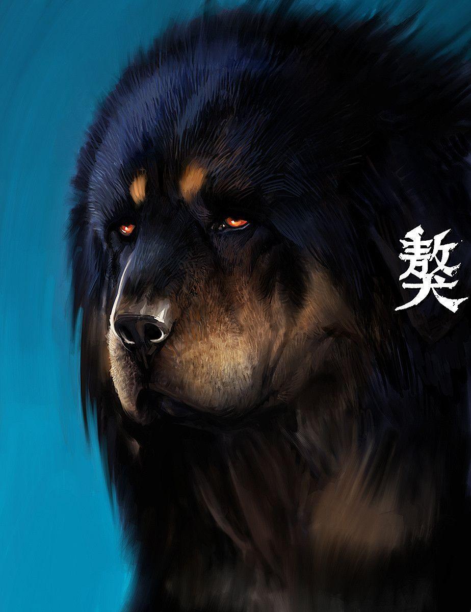 924x1200 Tibetan Wallpaper