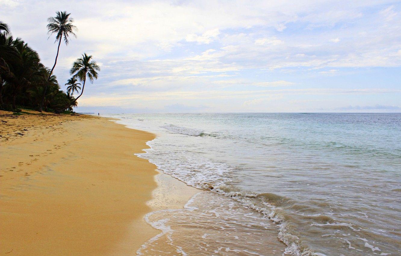 1332x850 Wallpaper sand, palm trees, the ocean, surf, Dominican Republic, Dominican Republic image for desktop, section природа