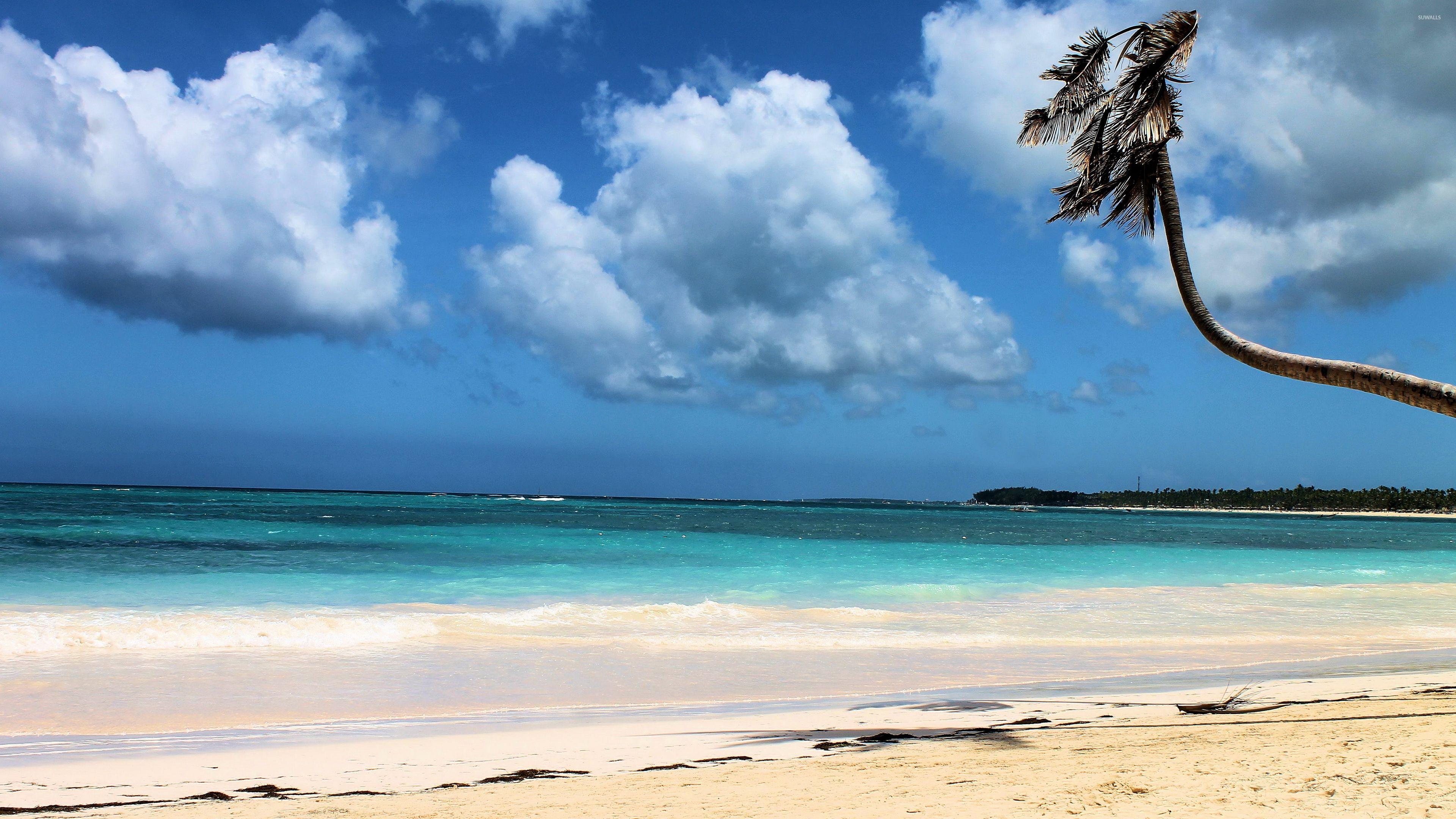 3840x2160 Free download Punta Cana wallpaper Beach wallpaper 38135 [1280x800] for your Desktop, Mobile & Tablet. Explore Punta Cana Wallpaper Desktop. Dominican Wallpaper, Dominican Republic Wallpaper Desktop, Dominican Flag Wallpaper