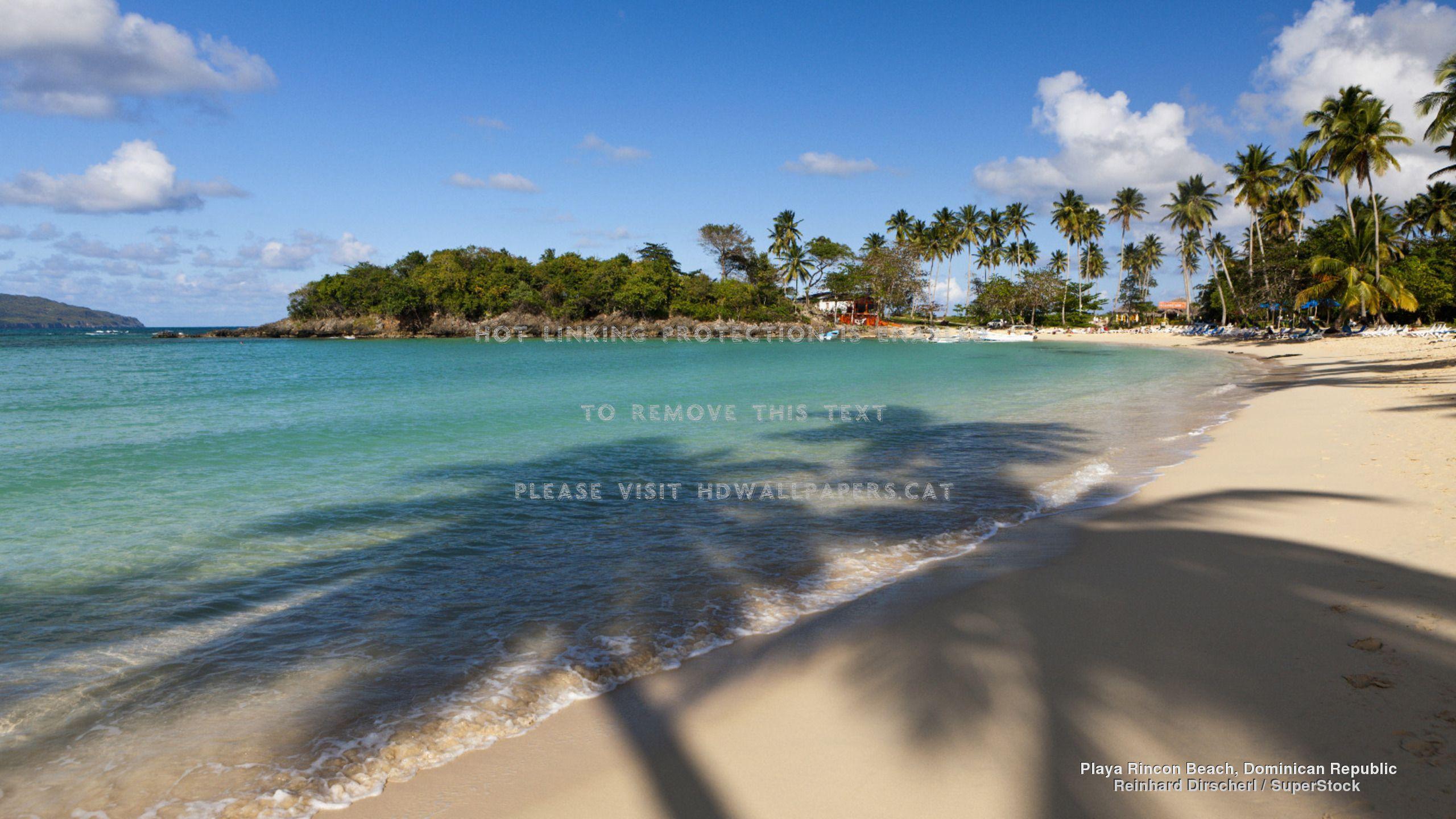 2560x1440 playa rincon beach island dominican palm