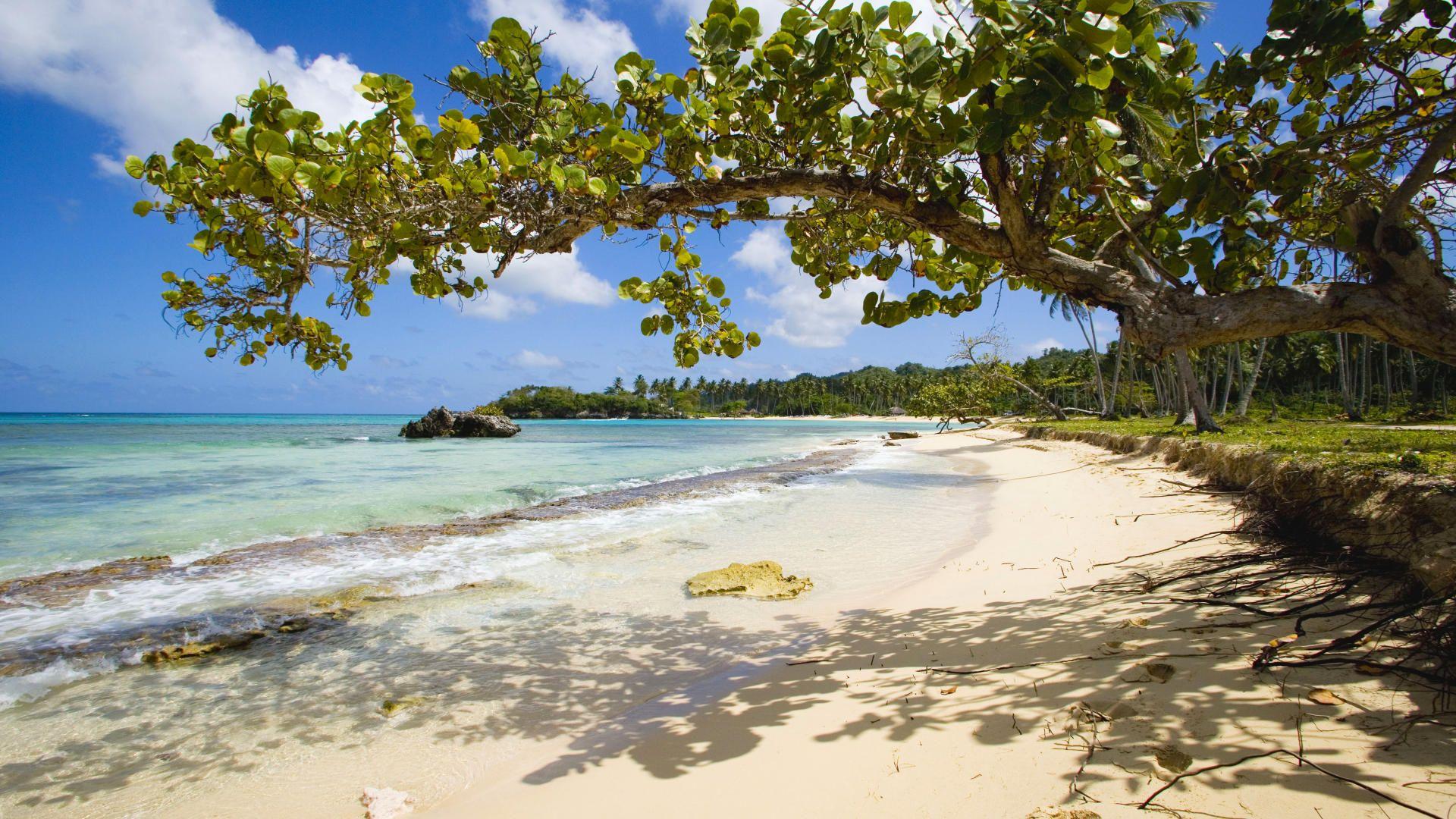 1920x1080 Download Wallpaper beach tropics ocean dominican republic, 1920x Playa Rincon, Dominican Republic