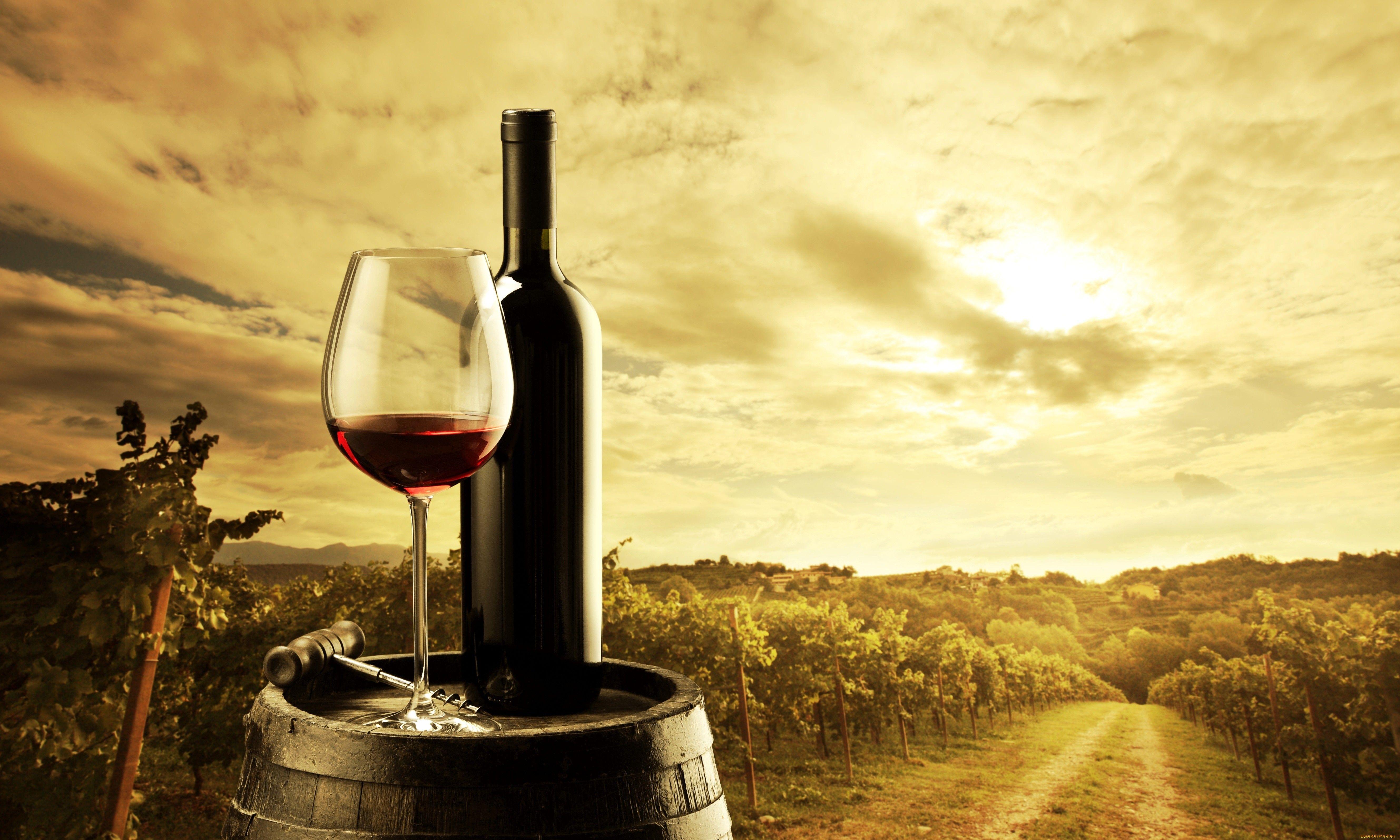 Wine Wallpapers - Top Free Wine Backgrounds - WallpaperAccess