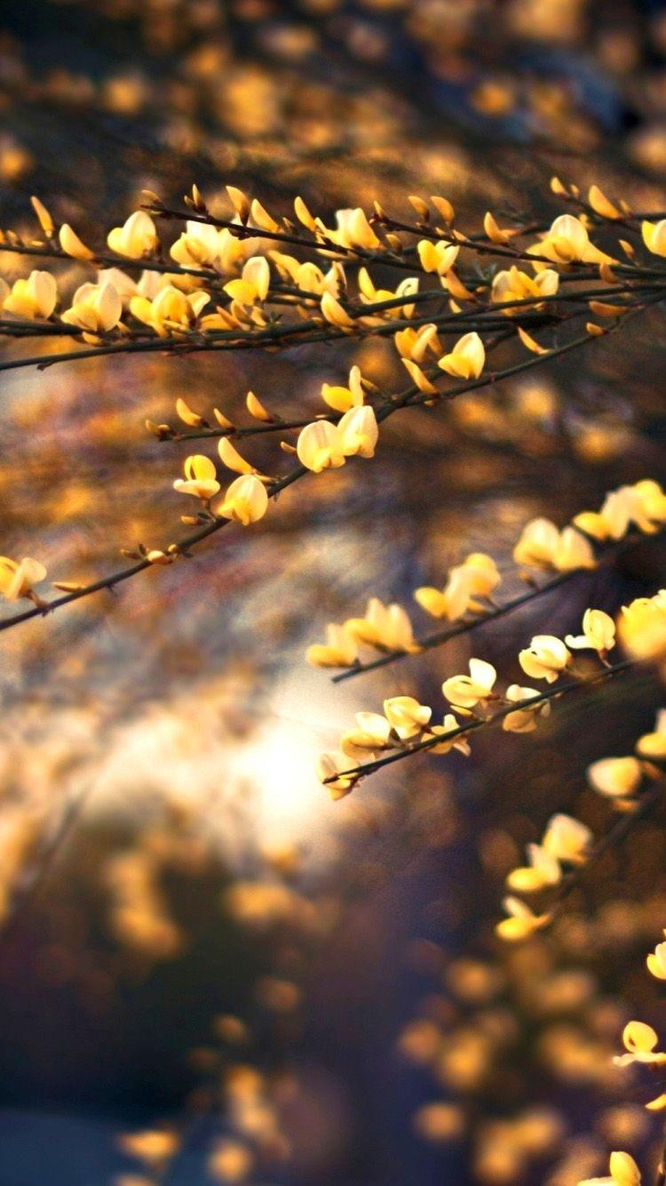 750x1334 Hello Beautiful iPhone Wallpaper 750x1334