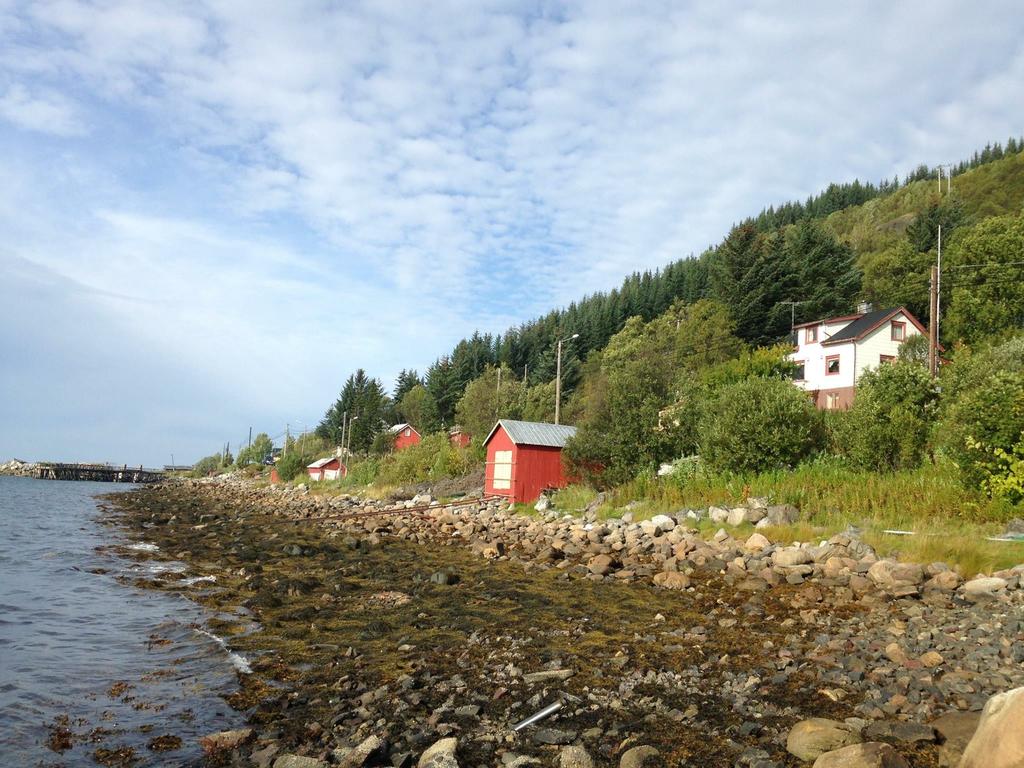 1024x768 Senja Skaland, Melkarhola