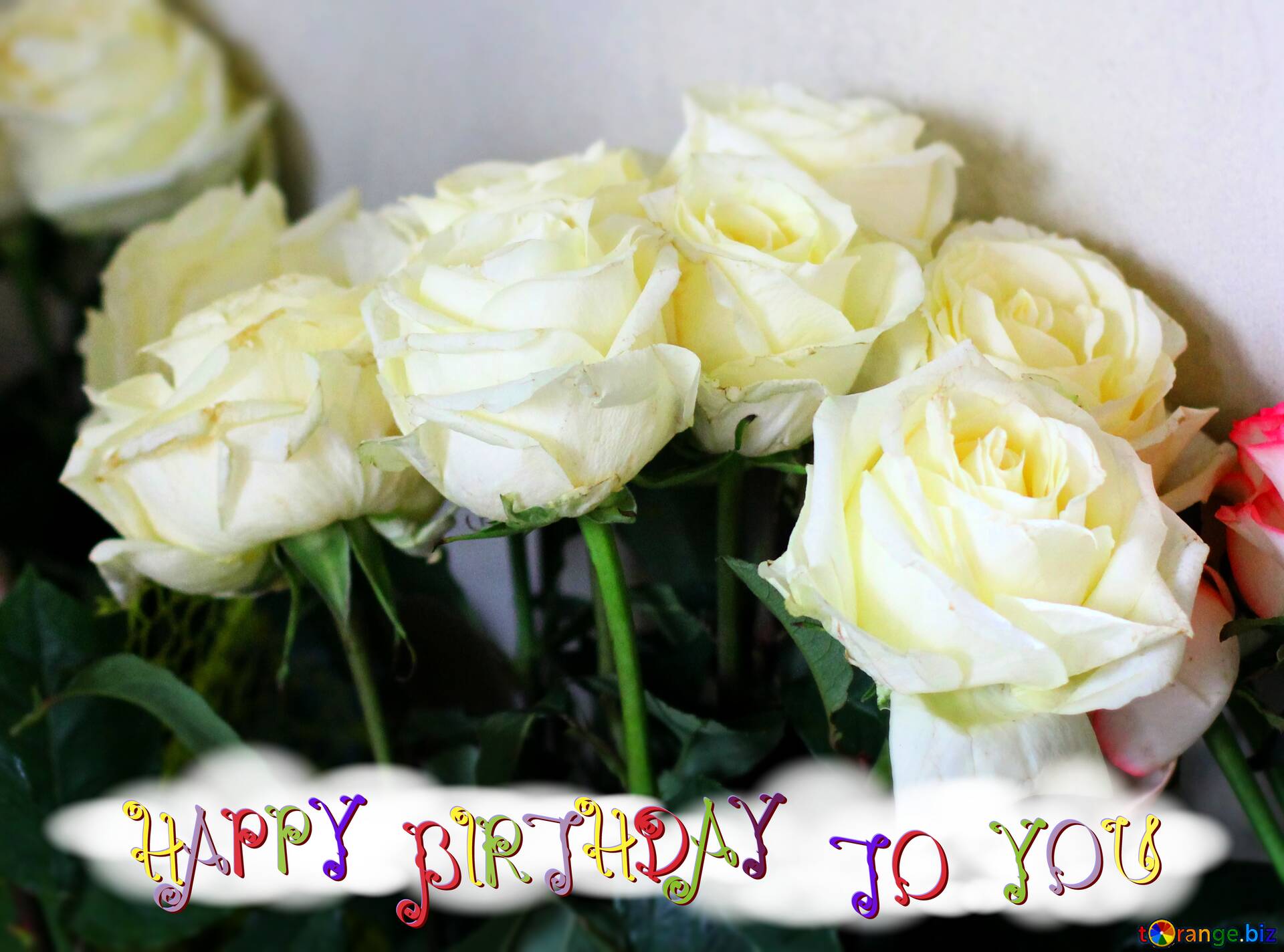 1920x1424 Tải xuống hình ảnh miễn phí Hoa hồng trắng Hoa chúc mừng sinh nhật trên CC BY License Hình ảnh miễn phí Fx №207563