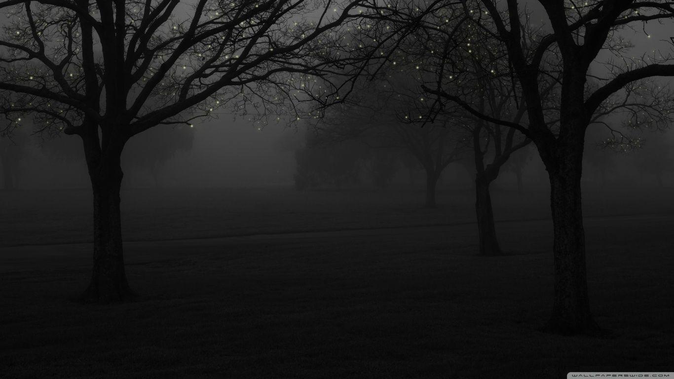 1366x768 Winter Fog HD Wallpaper