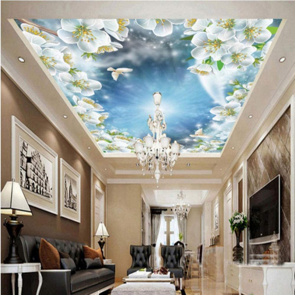 1000x999 Custom 3D Wallpaper Beautiful Aesthetic Sky Peach Pigeon Ceiling Wallpaper Mural Hotel Bedroom Decoration Backdrop: Amazon.ca: Home & Kitchen