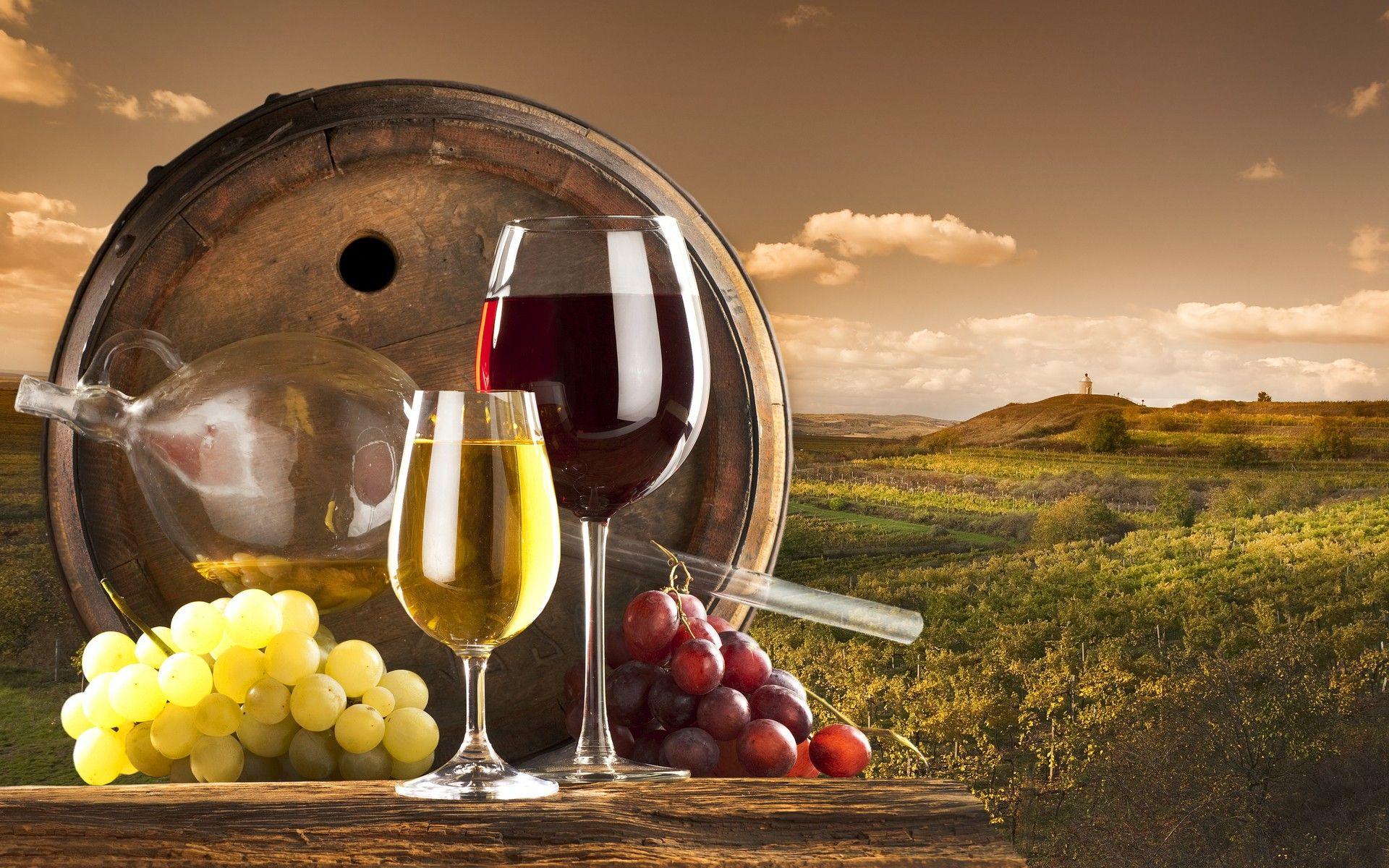 1920x1200 Grapes & Wine wallpaper. Grapes & Wine