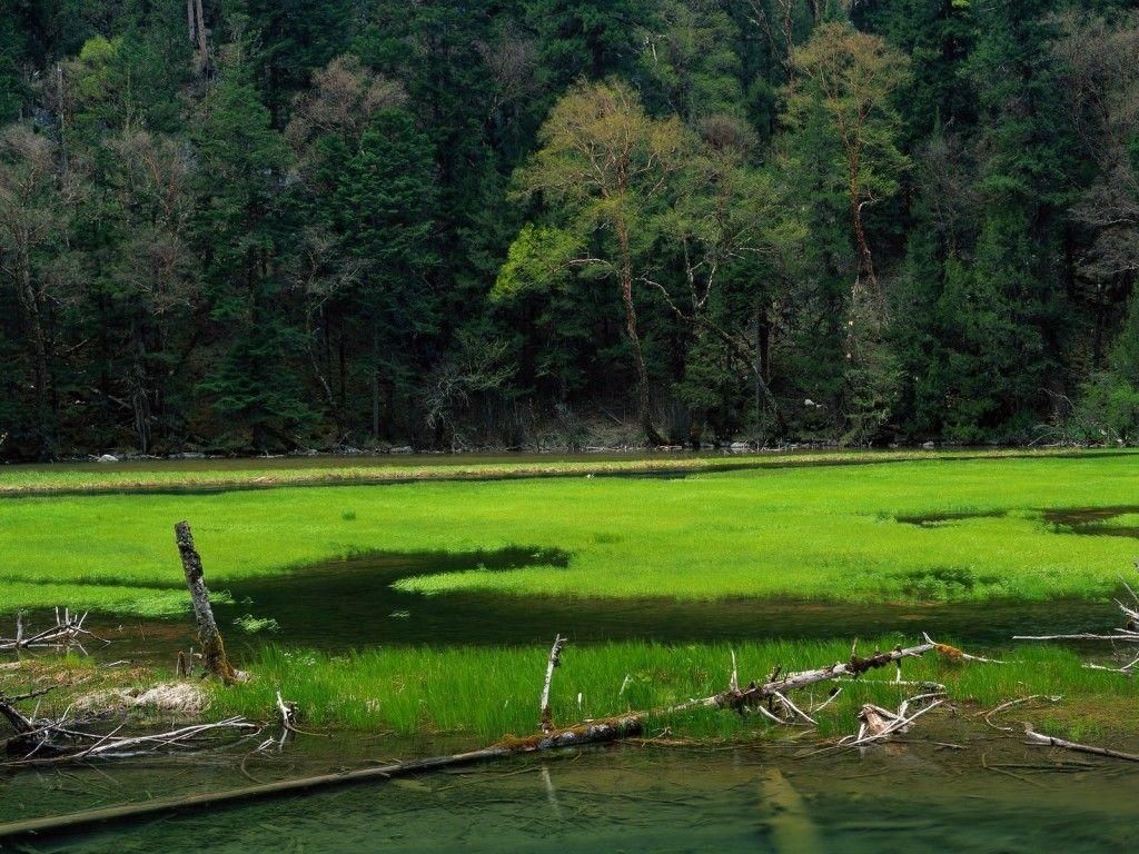 1024x768 Grass: Amazing Landscape China Green Grass Nature Wallpaper Phone