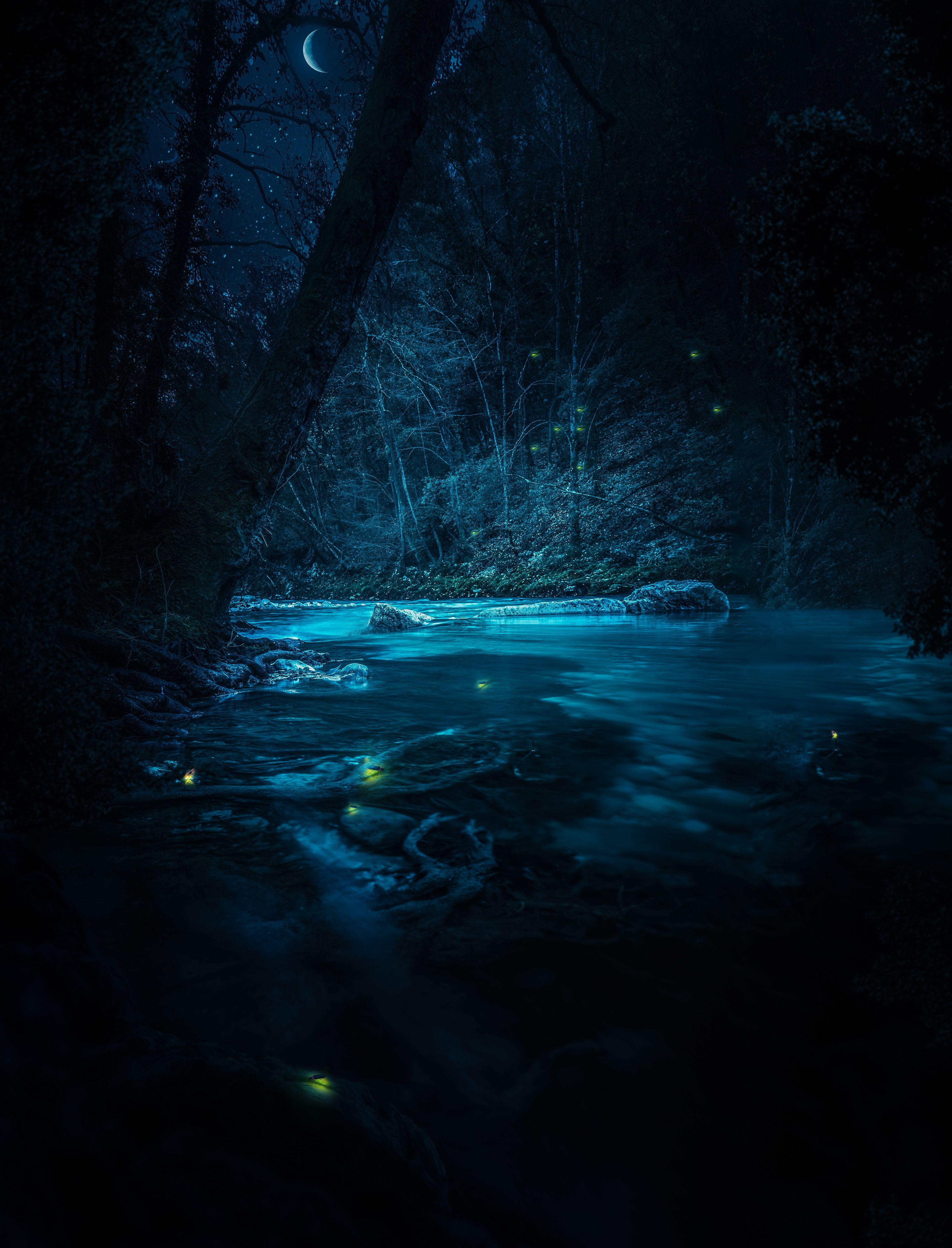 3852x5048 Forest 4K Wallpaper, River, Night, Dark, Magical, Crescent Moon, Blue, Fairies, Nature