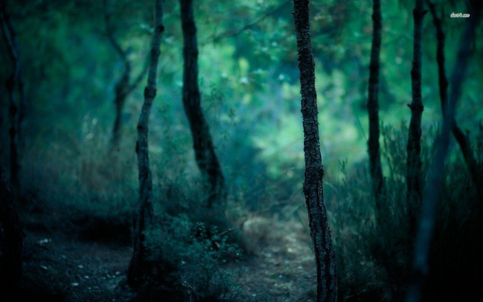 1680x1050 Dark magic forest)