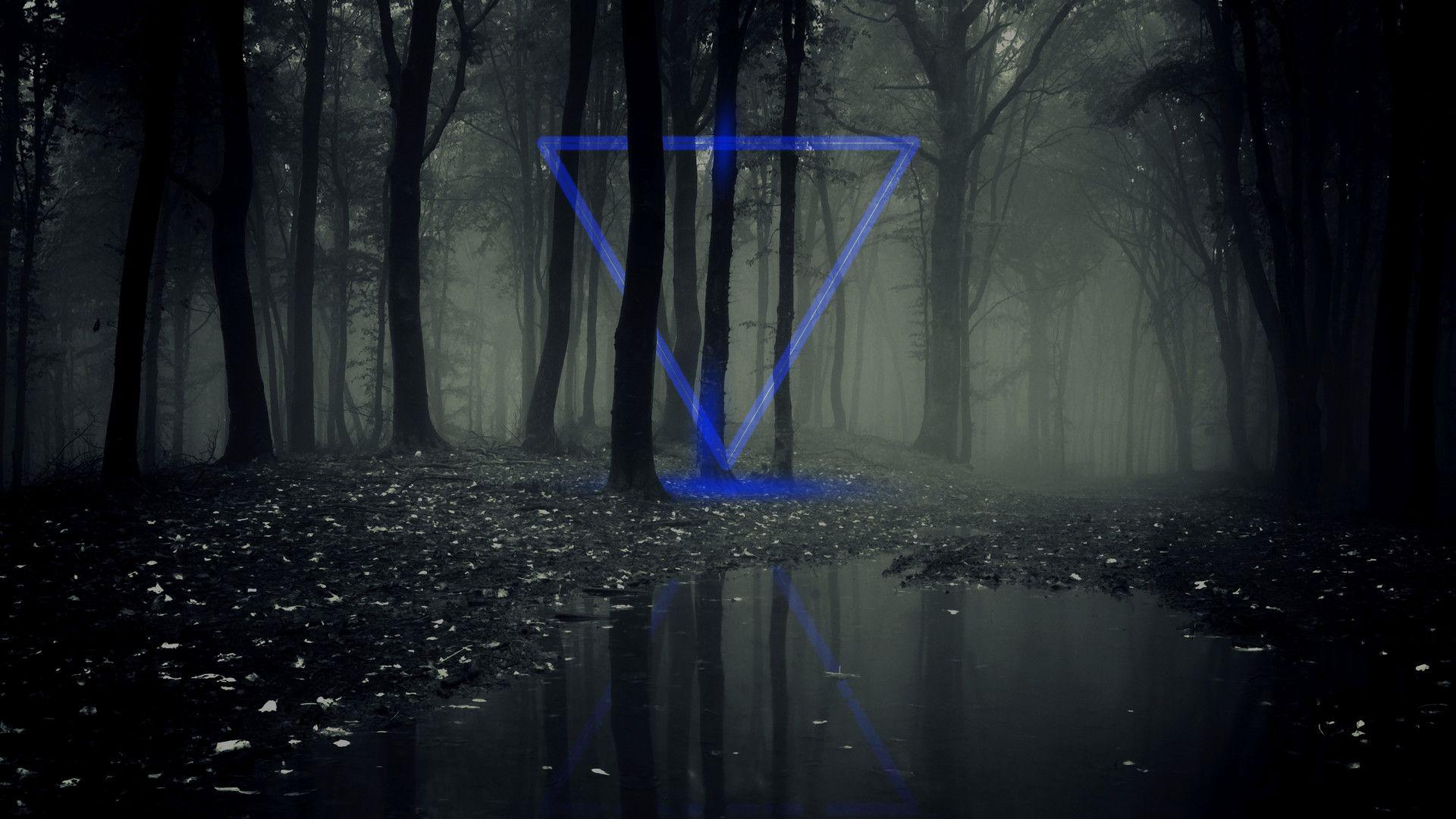 1920x1080 The magic of the dark forest, Evgeniy Kiselov