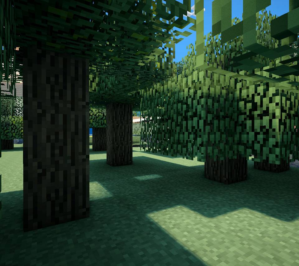 Minecraft Jungle Background