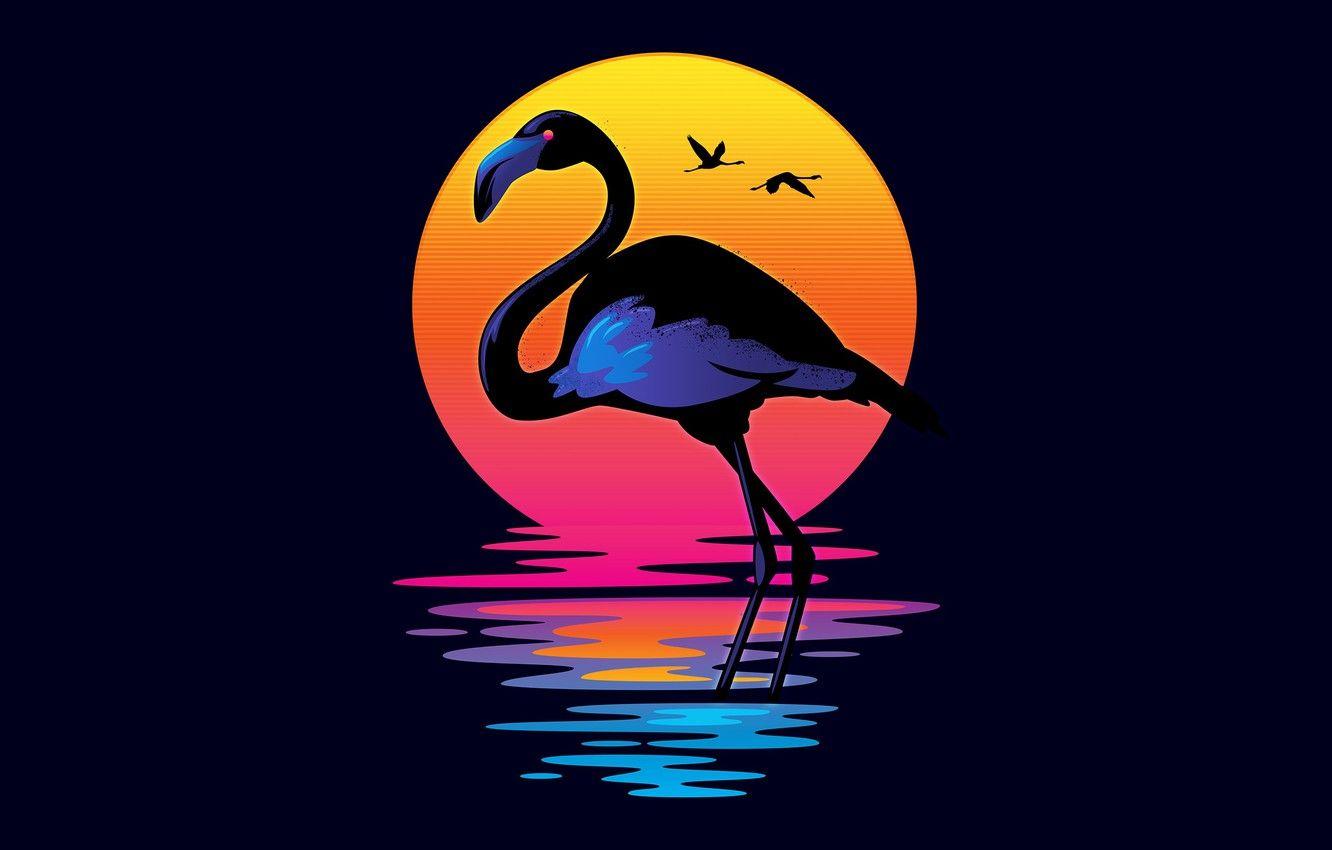 Retro Flamingo Wallpapers - Top Free Retro Flamingo Backgrounds ...