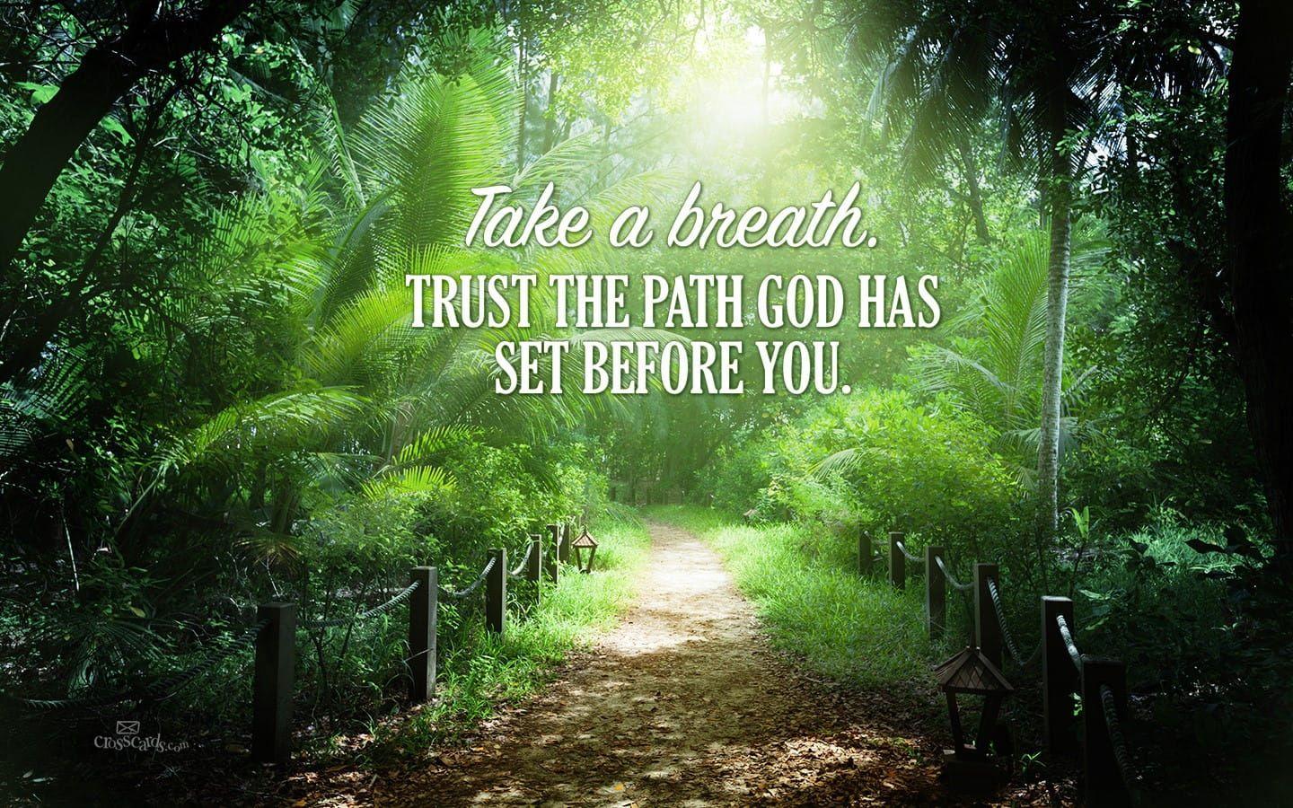 1440x900 Trust God's Path Desktop Wallpaper