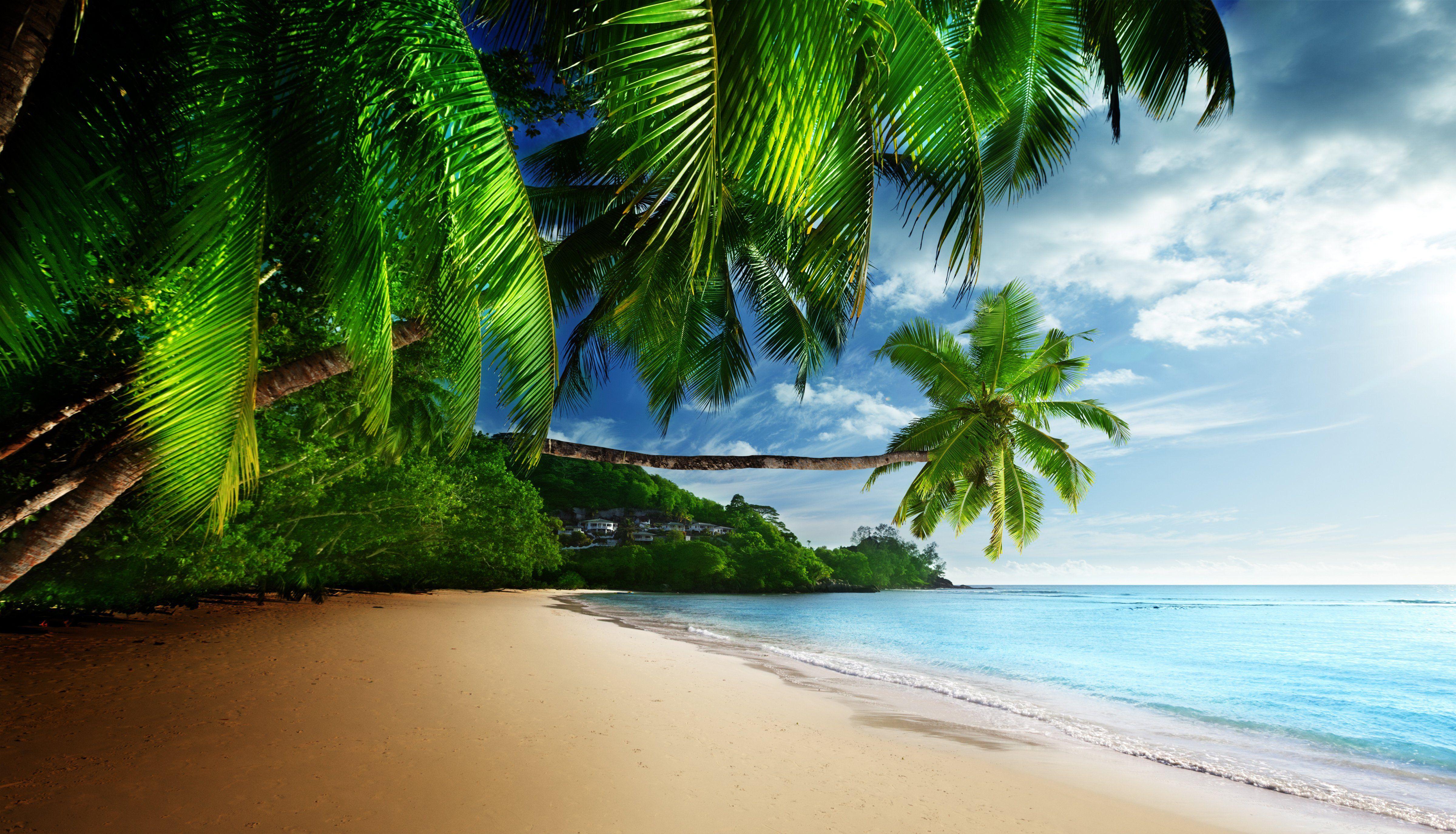 4800x2751 Coast paradise tropical sea sky sunshine emerald blue beach wallpaperx2751