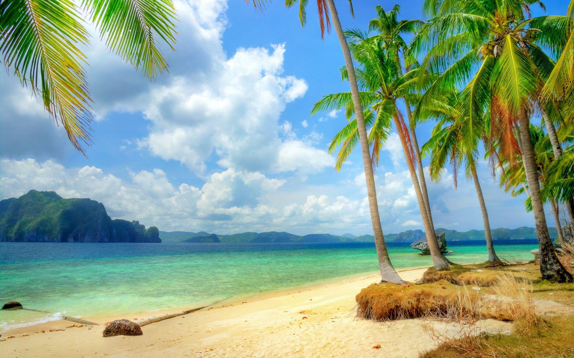 1920x1200 Wallpaper Tropical coast, beach, coast, sea, blue, palm trees, clouds 1920x1200 HD Picture, Image
