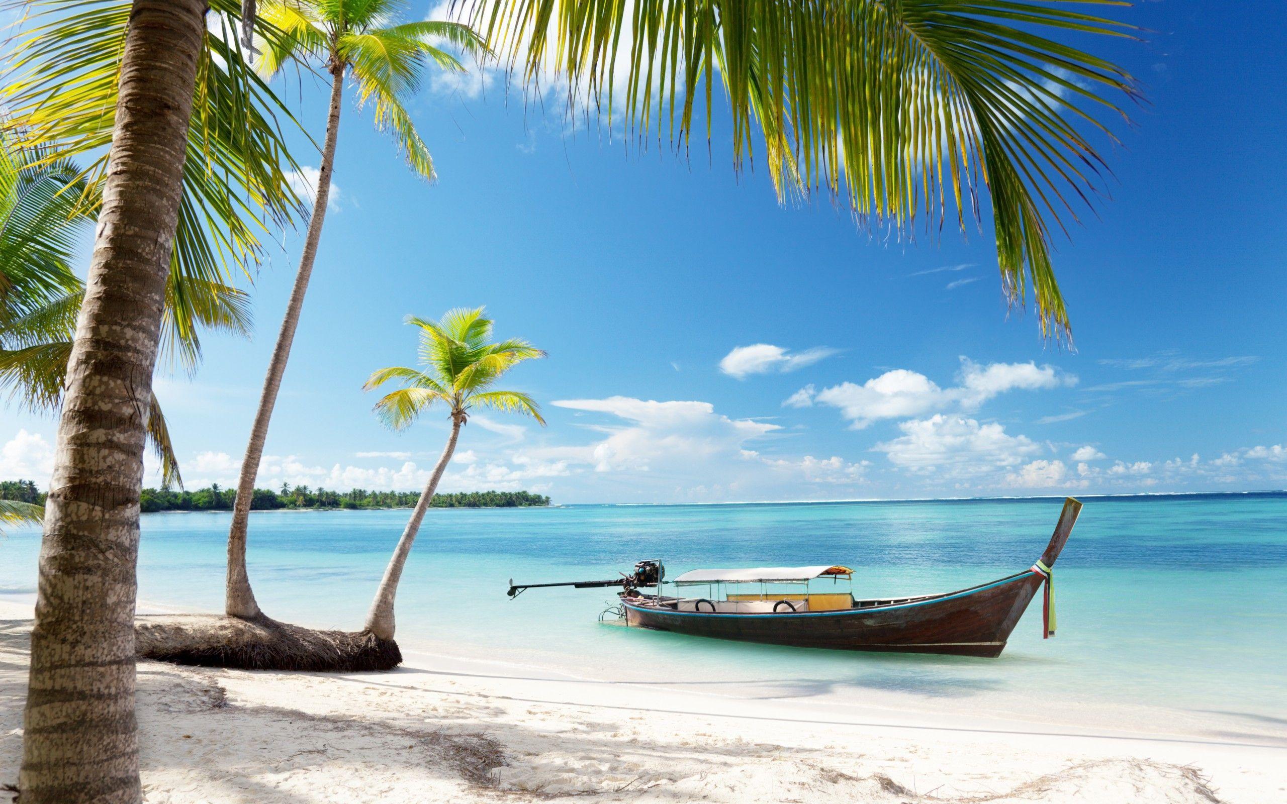 2560x1600 Free download Tropical Wallpaper Paradise Sunshine Beach Coast Sea Sky [2560x1600] for your Desktop, Mobile & Tablet. Explore Sunshine Coast Wallpaper. Sunshine Coast Wallpaper, Free Wallpaper Sunshine, Super Mario Sunshine Wallpaper