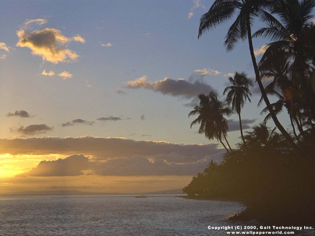 1024x768 Visual Paradox 3D Wallpaper: 'Tropical Coast' 1024x768