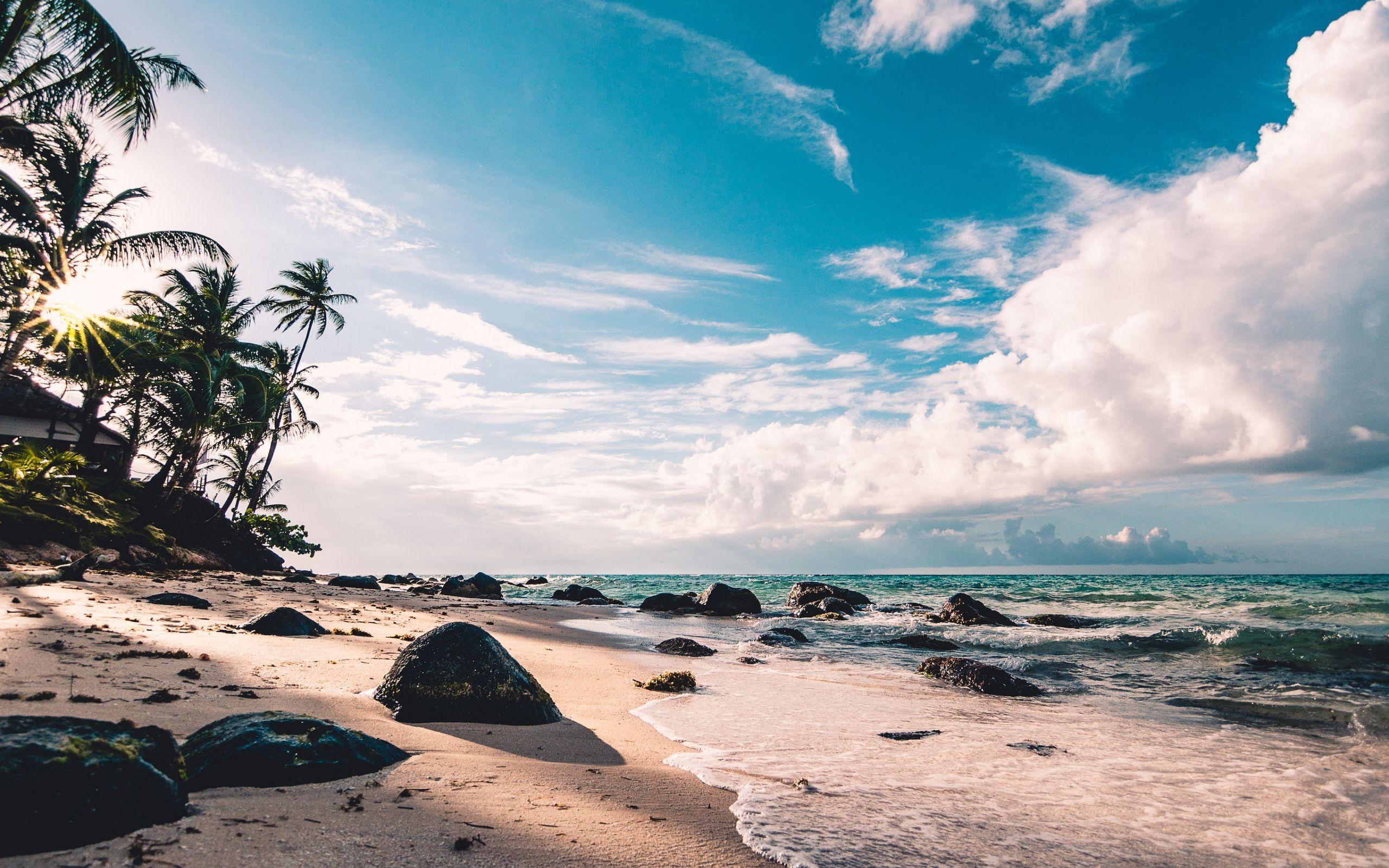 2560x1600 Download Sunny day, coast, beach, sea, tropical wallpaper, 2560x Dual Wide, Widescreen 16: Widescreen