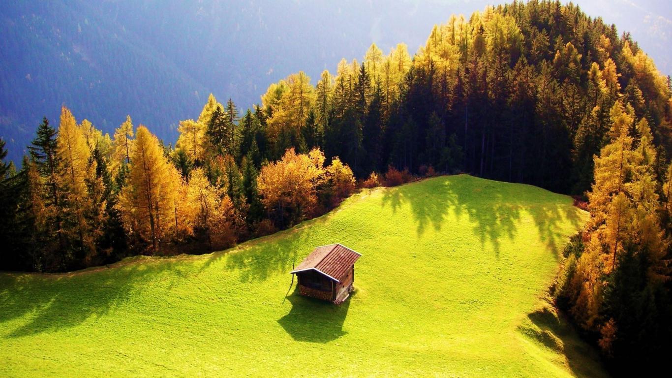 1366x768 Beautiful Tropical Rain Forest HD Landscape HD Wallpaper