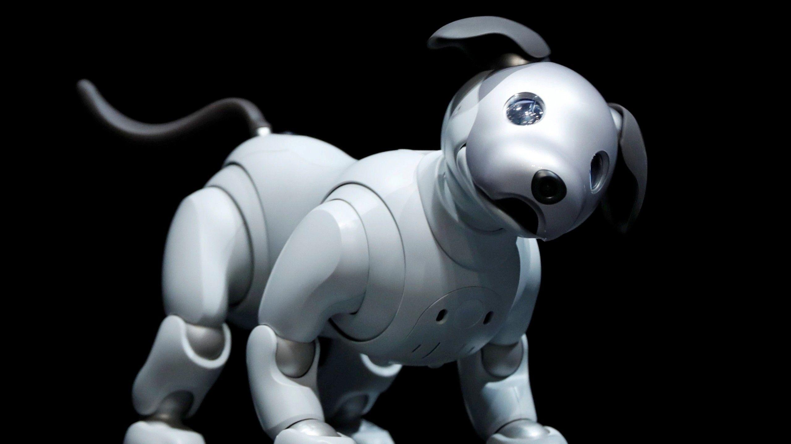 2560x1440 Wallpaper Sony Aibo, Robot, Dog, HD, Hi Tech