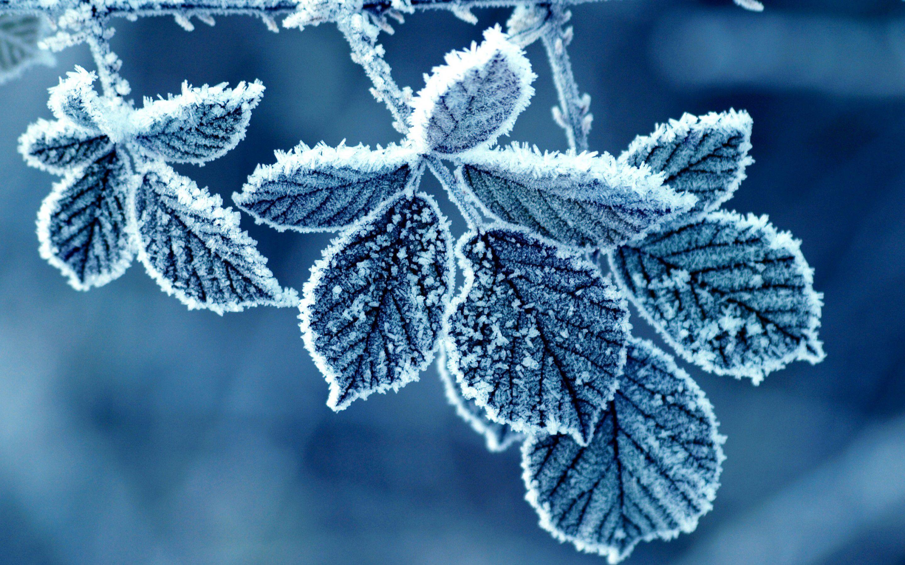 2880x1800 Retina Wallpaper 2880x1800