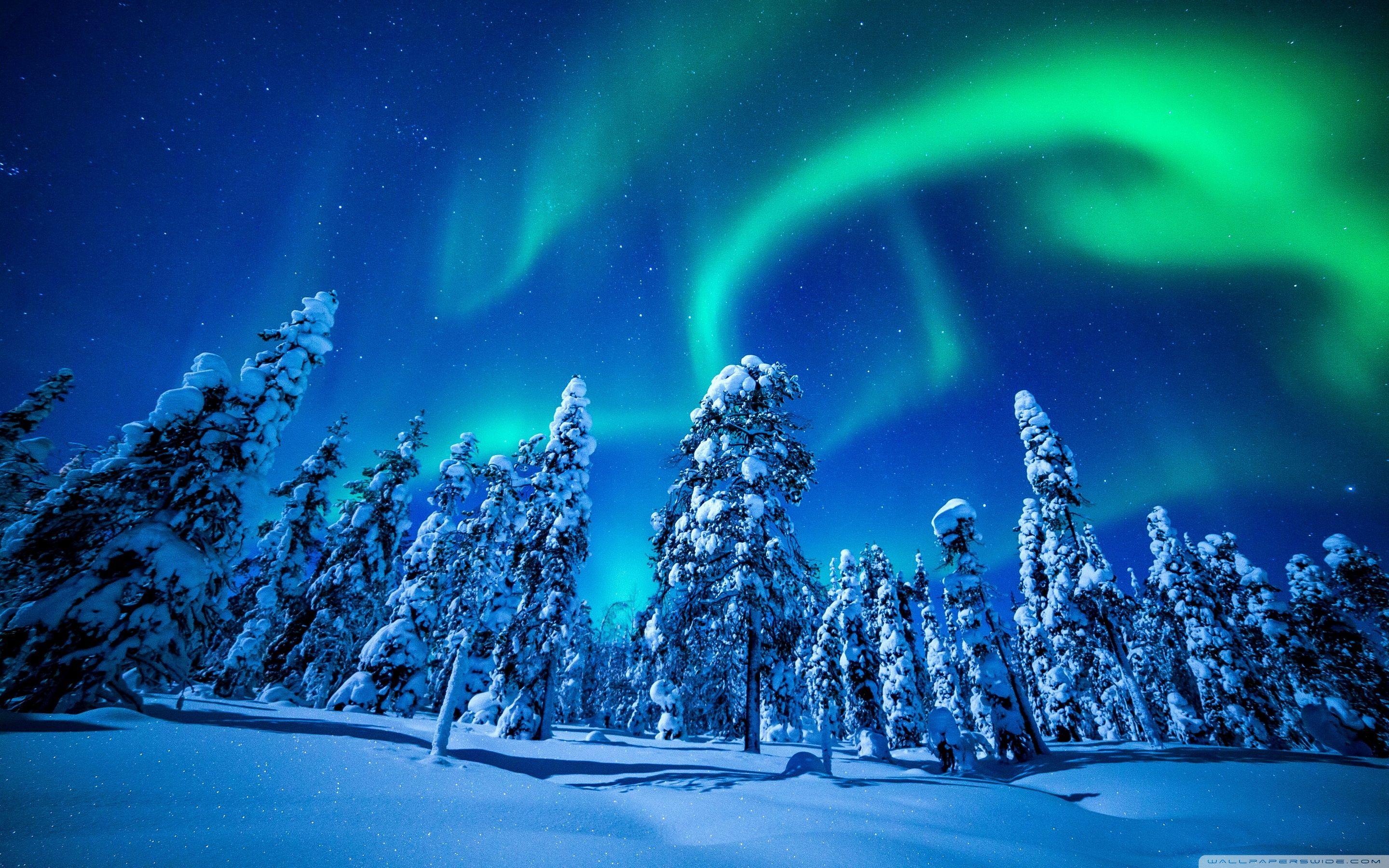 2880x1800 Northern Lights Over Forest, Winter ❤ 4K HD Desktop Wallpaper