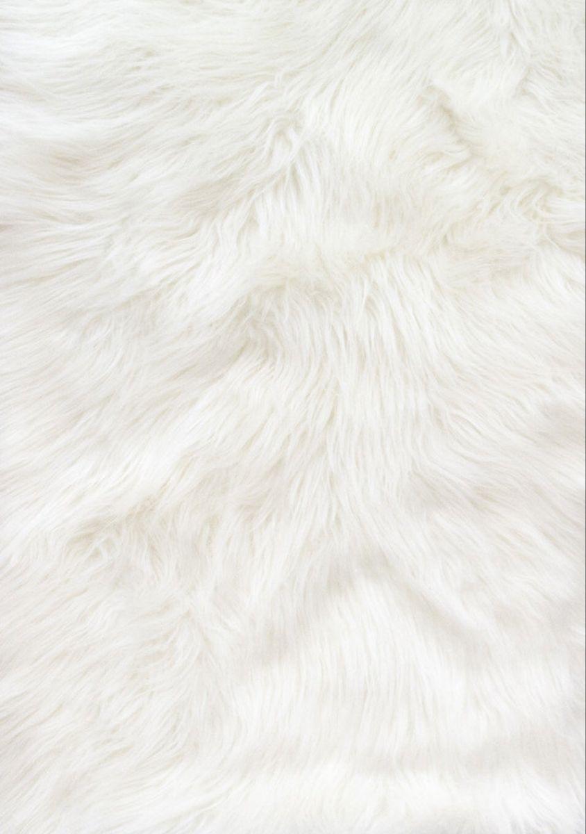 White Fur Wallpapers - Top Free White