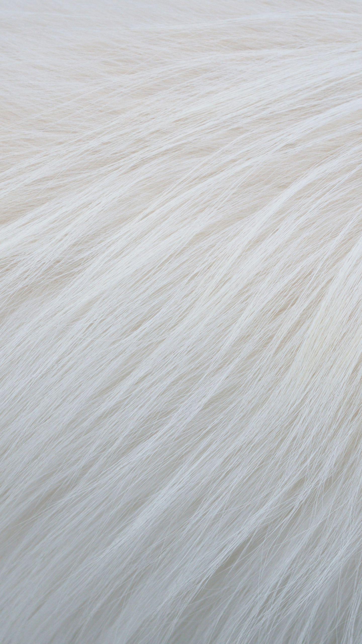 White Fur Wallpapers - Top Free White Fur Backgrounds - WallpaperAccess