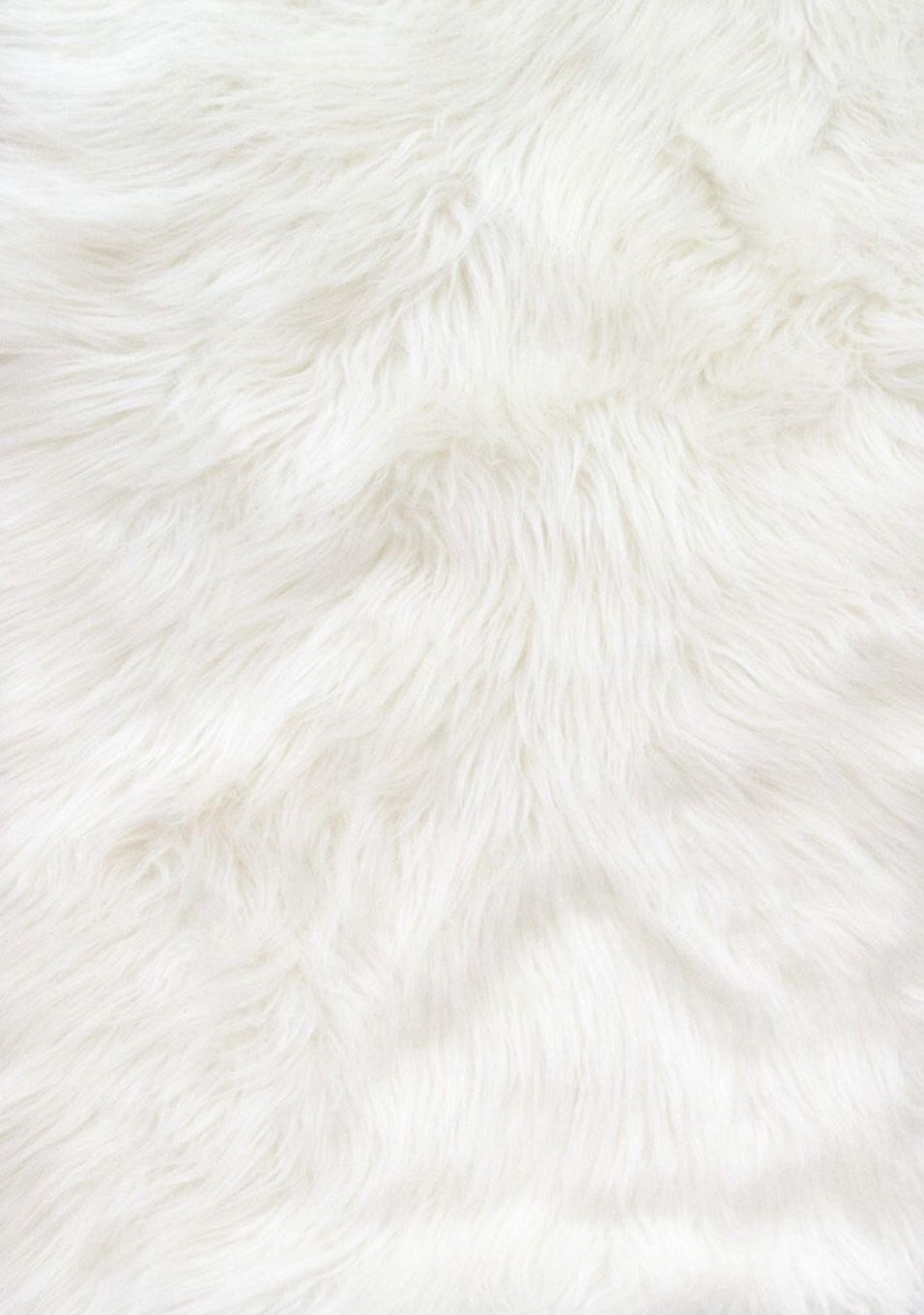 White Fur Wallpapers - Top Những Hình Ảnh Đẹp