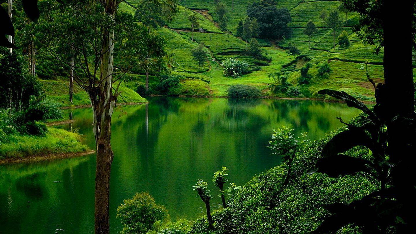 1440x810 Sri Lankan Wallpaper. Sri Lankan Cricket Wallpaper, Sri Lankan Wallpaper and Sri Lankan Wallpaper God