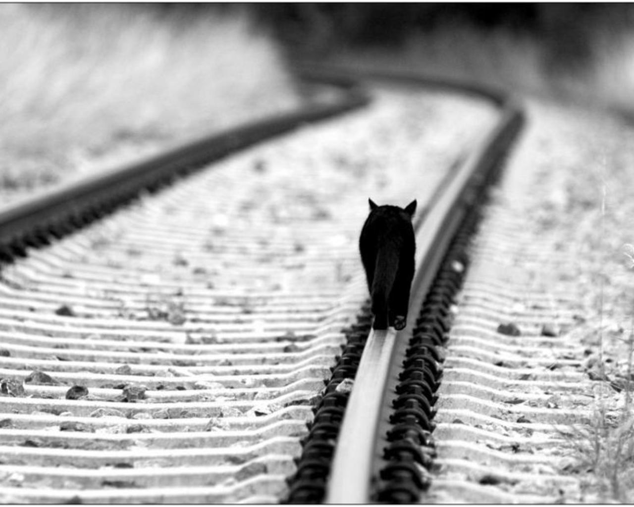 1280x1024 Lonely Wallpaper, 35++ Lonely Wallpaper and Photo In FHDQ