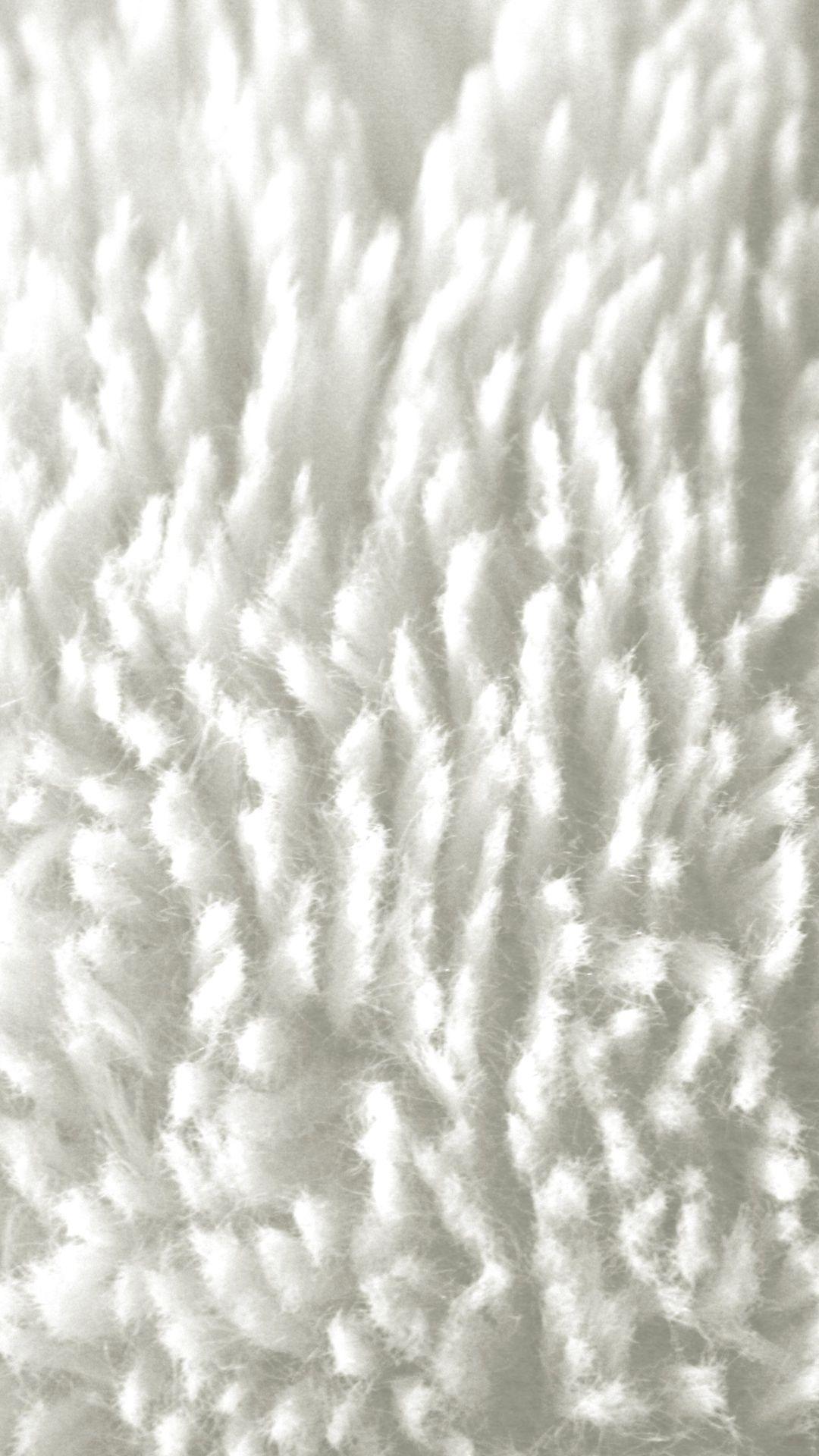 White Fur Wallpapers Top Free White Fur Backgrounds WallpaperAccess