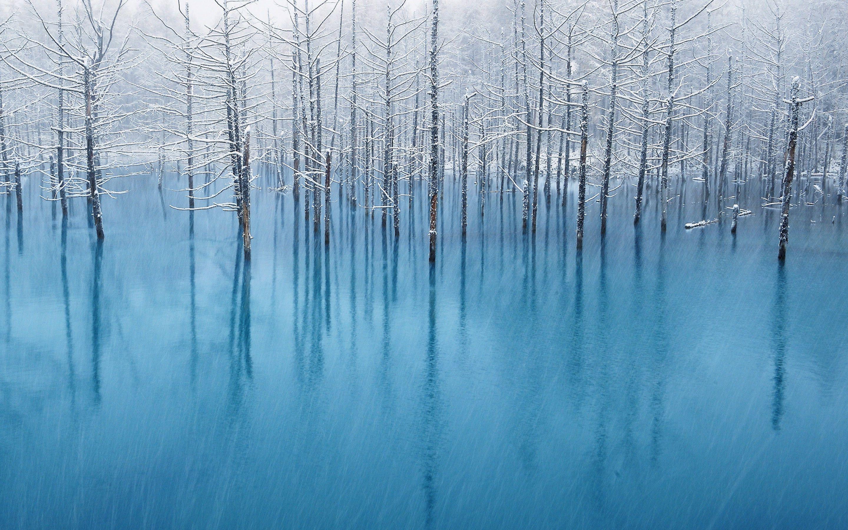 2880x1800 Winter Snow Background