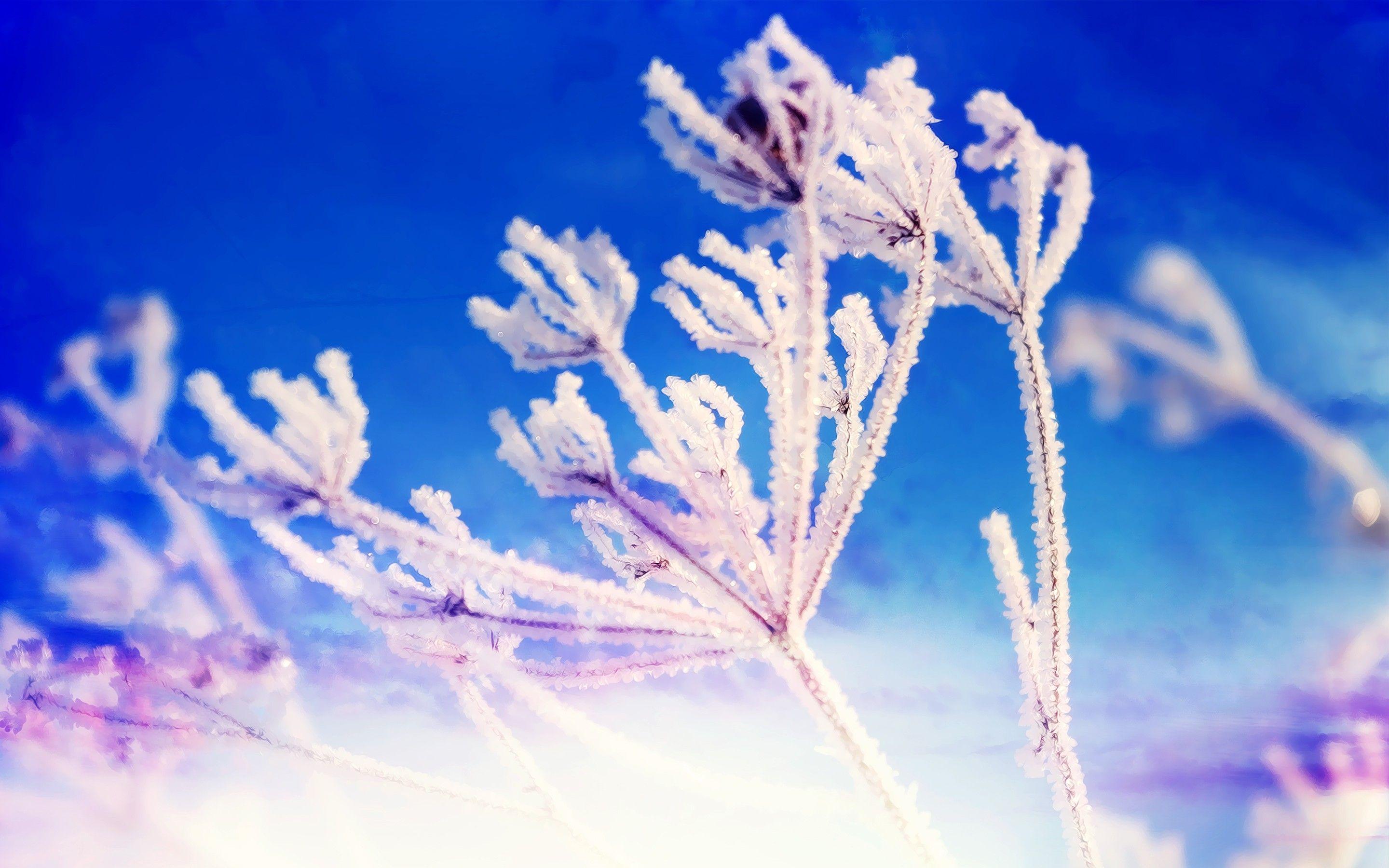 2880x1800 Winter Fantasy Wallpaper