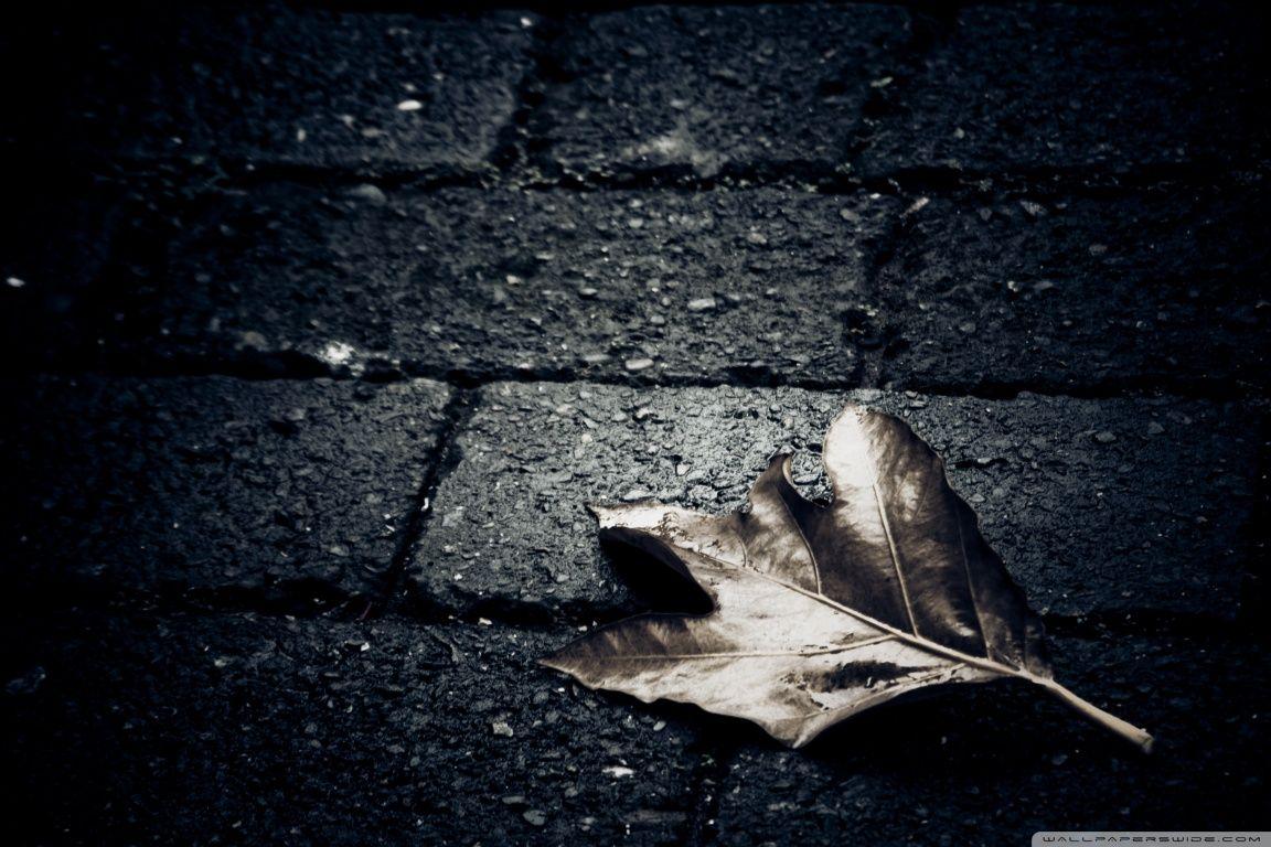 1152x768 Lonely Wallpaper