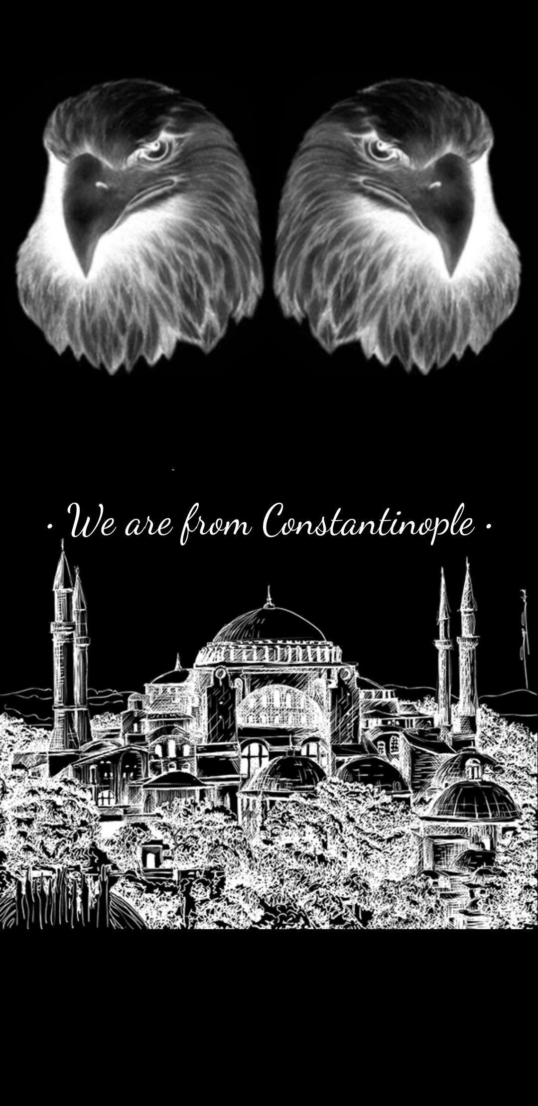 1080x2220 paok wallpaper