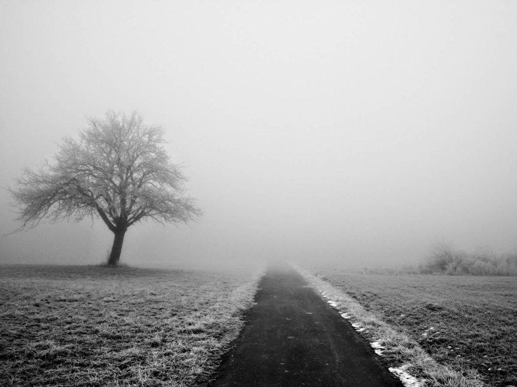 1024x768 Lonely Wallpaper wallpaper Collections