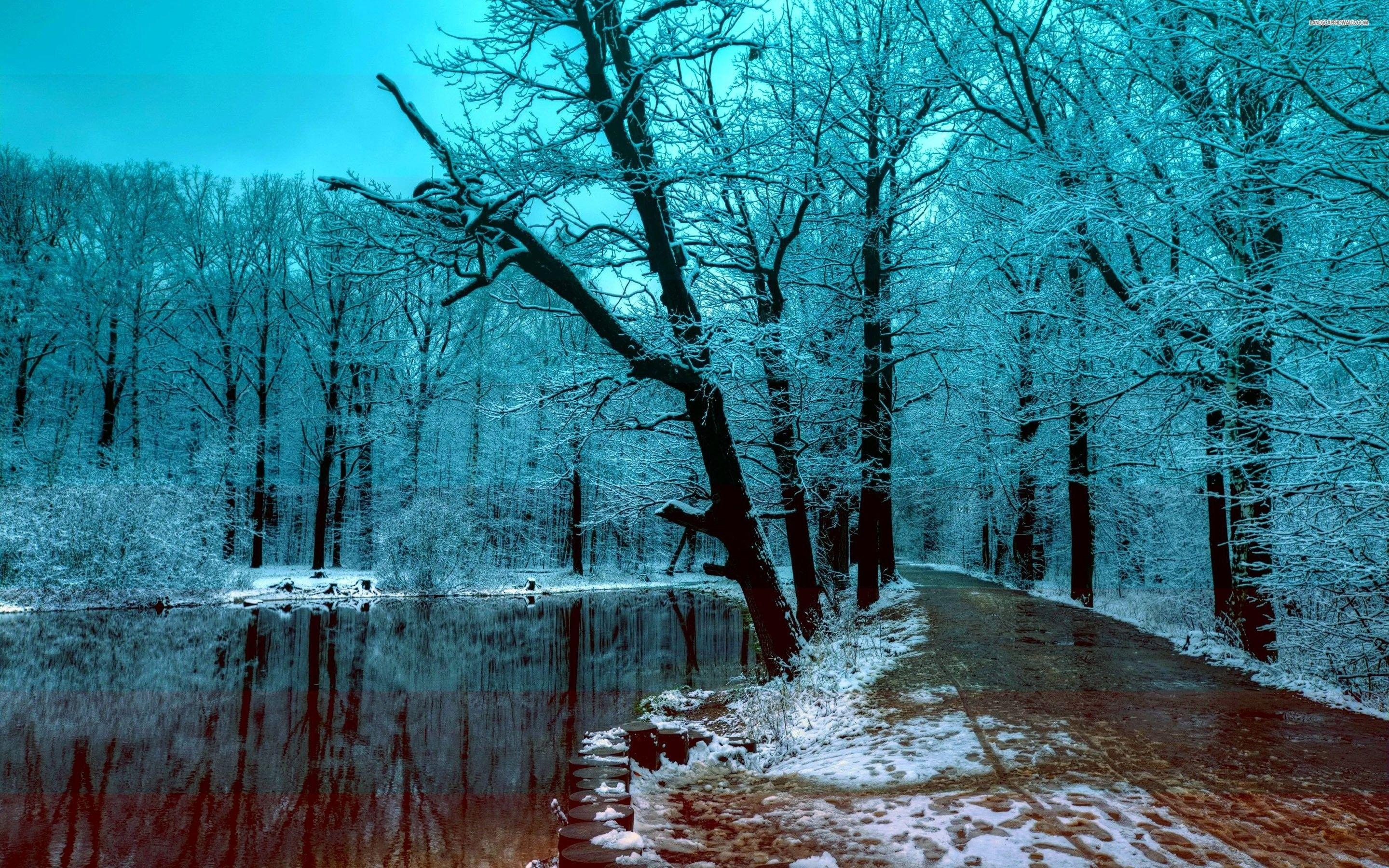 2880x1800 Beautiful Winter Wallpaper