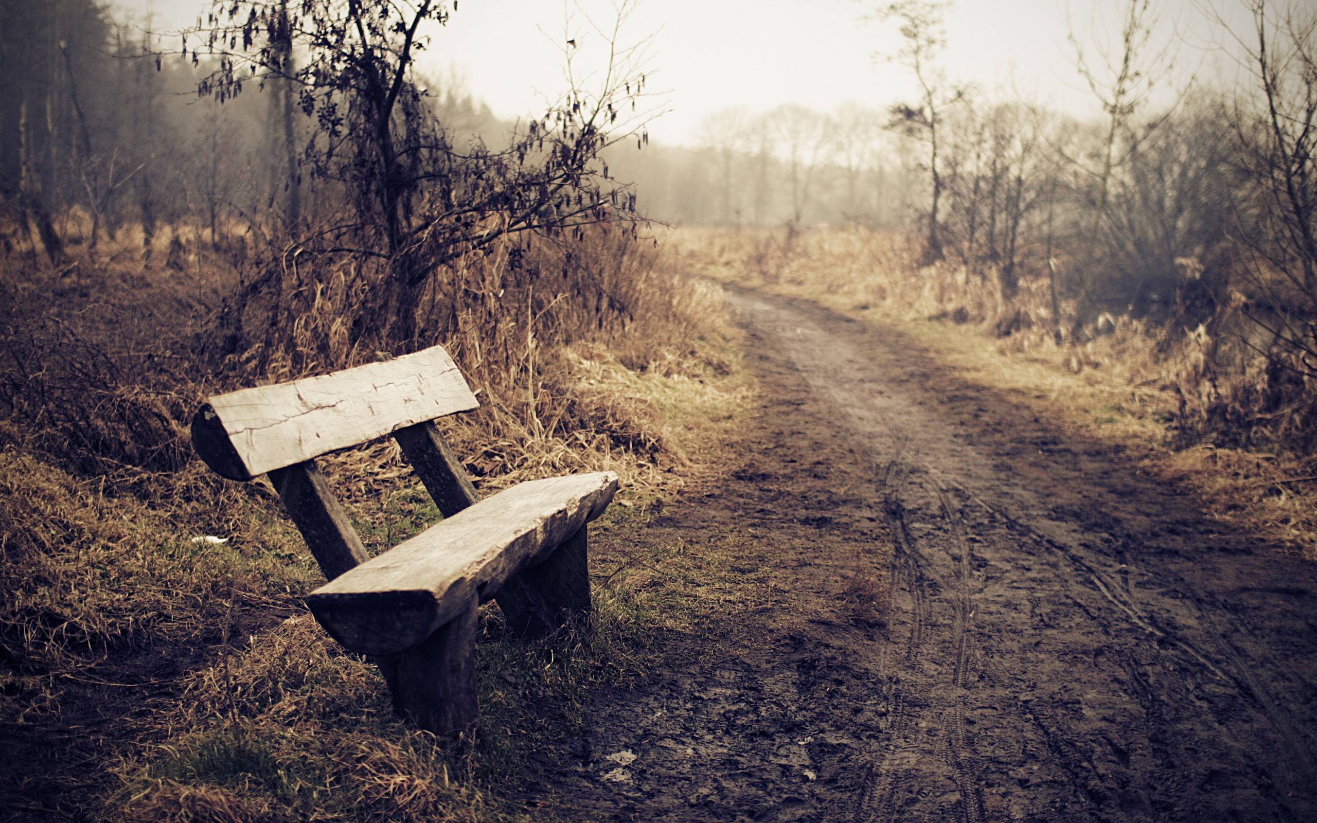 2560x1600 KPK:97 Wallpaper, Wonderful Lonely HD Wallpaper