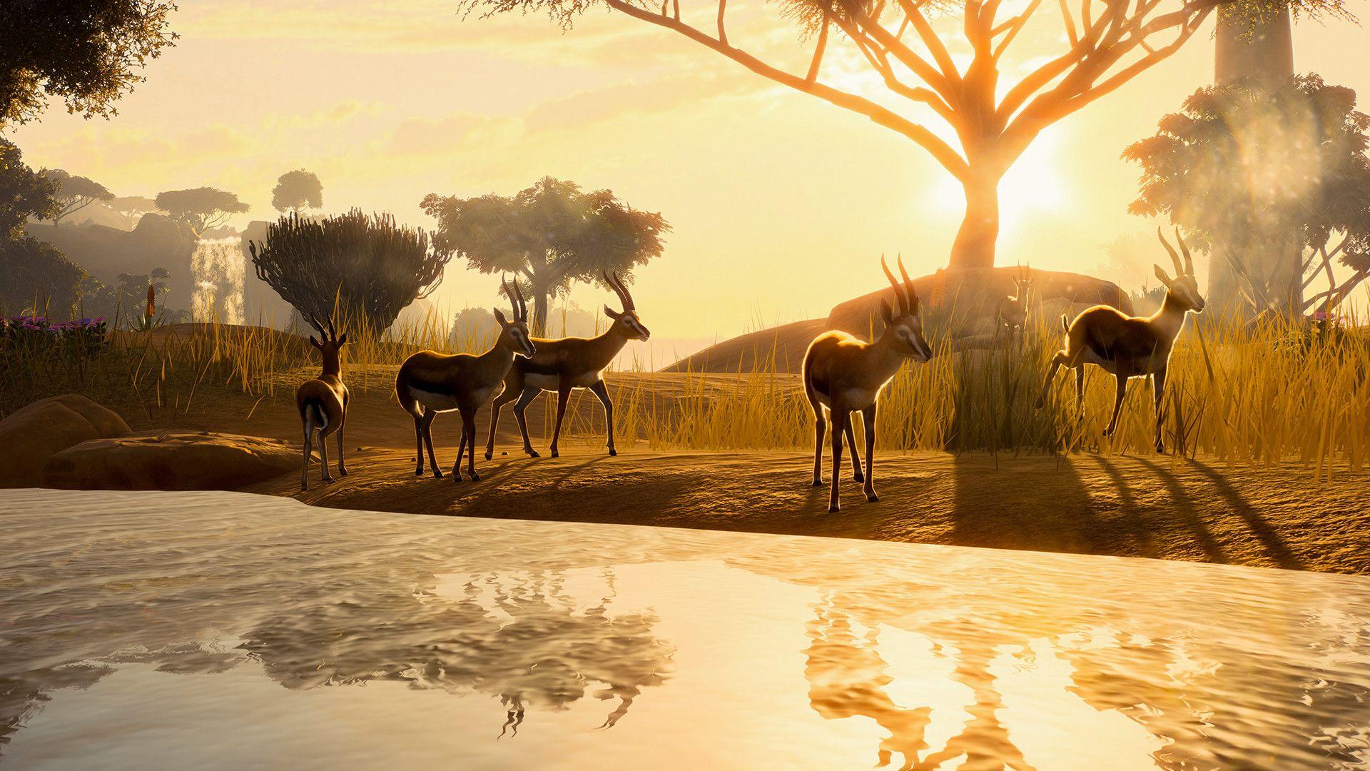 1920x1080 Save 35% on Planet Zoo: Deluxe Upgrade Pack on Steam