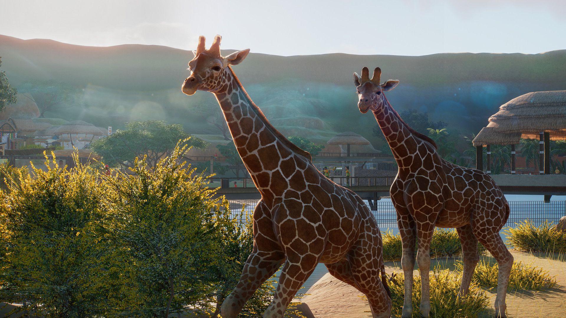1920x1080 Planet Zoo Game Wallpaper 68841 1920x1080px