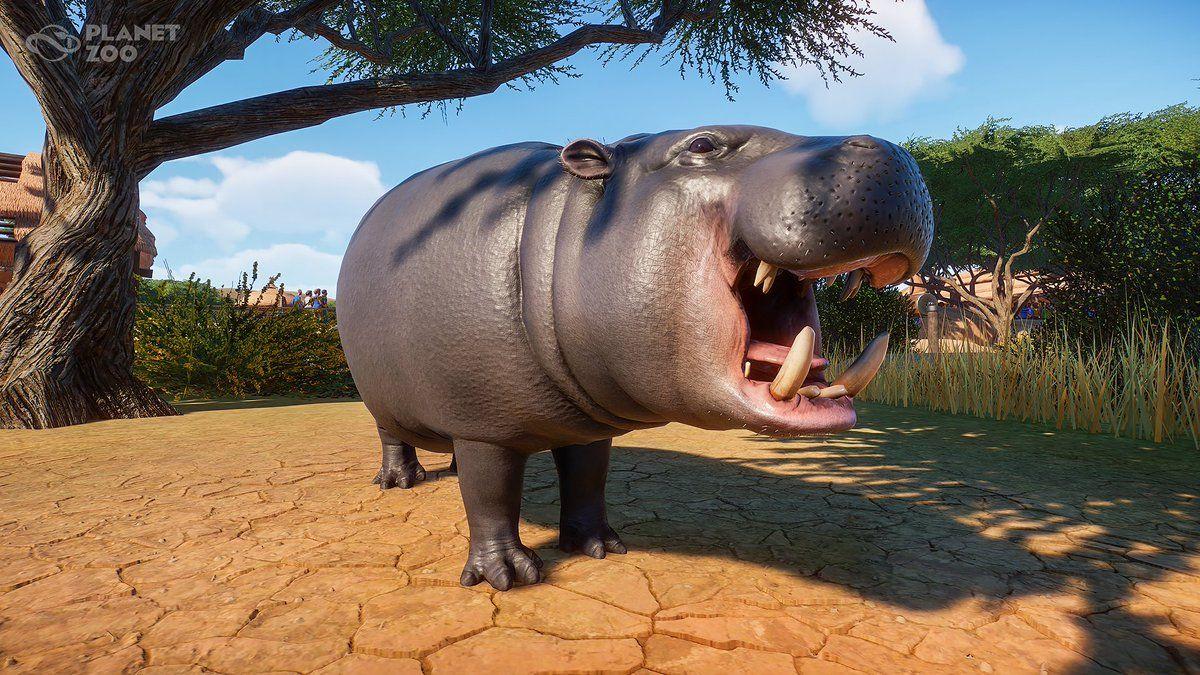 1200x675 Planet Zoo: How to Find Your DLC Music & Wallpaper