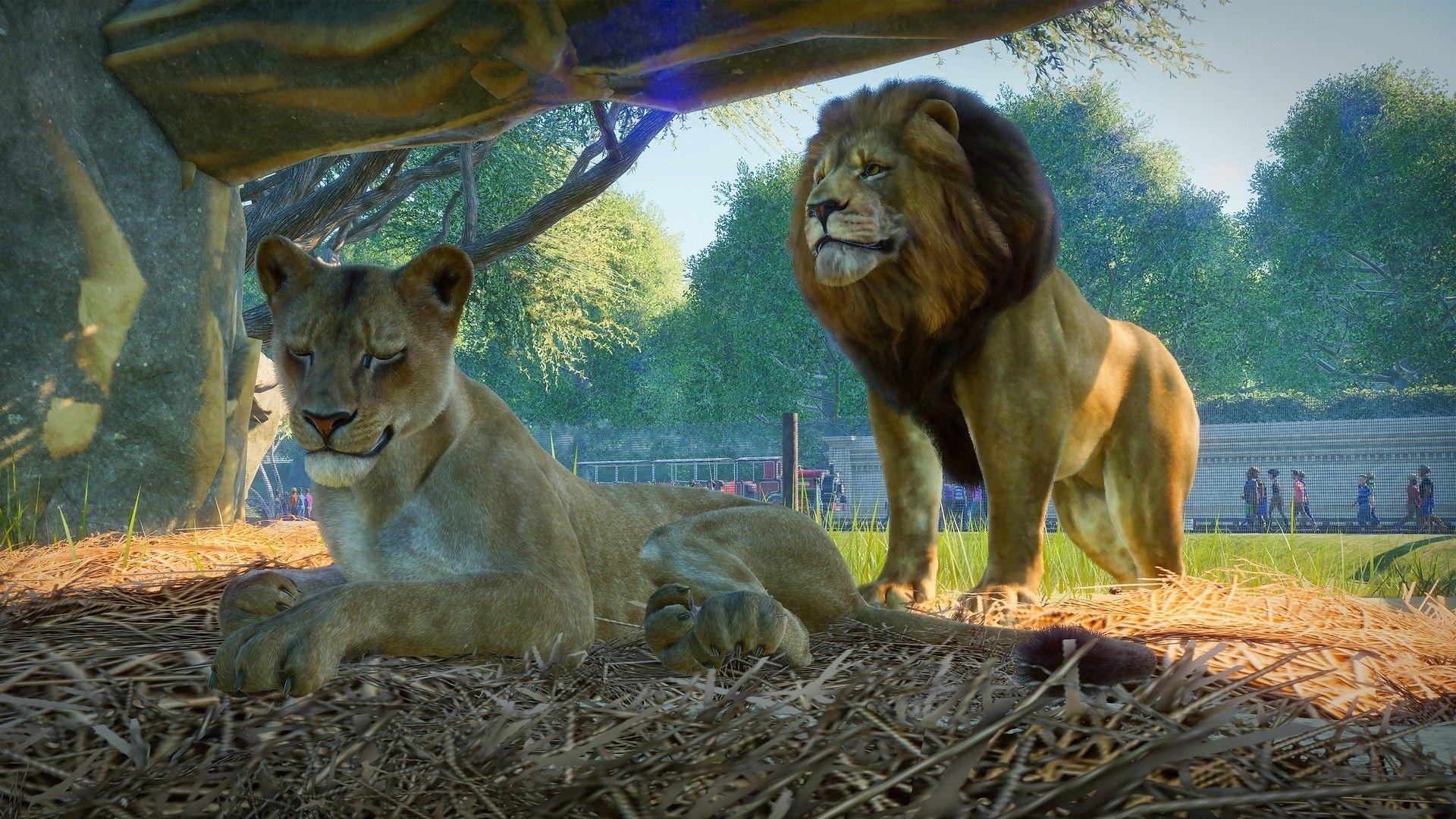 1920x1080 Planet Zoo 2020 HD Wallpaper