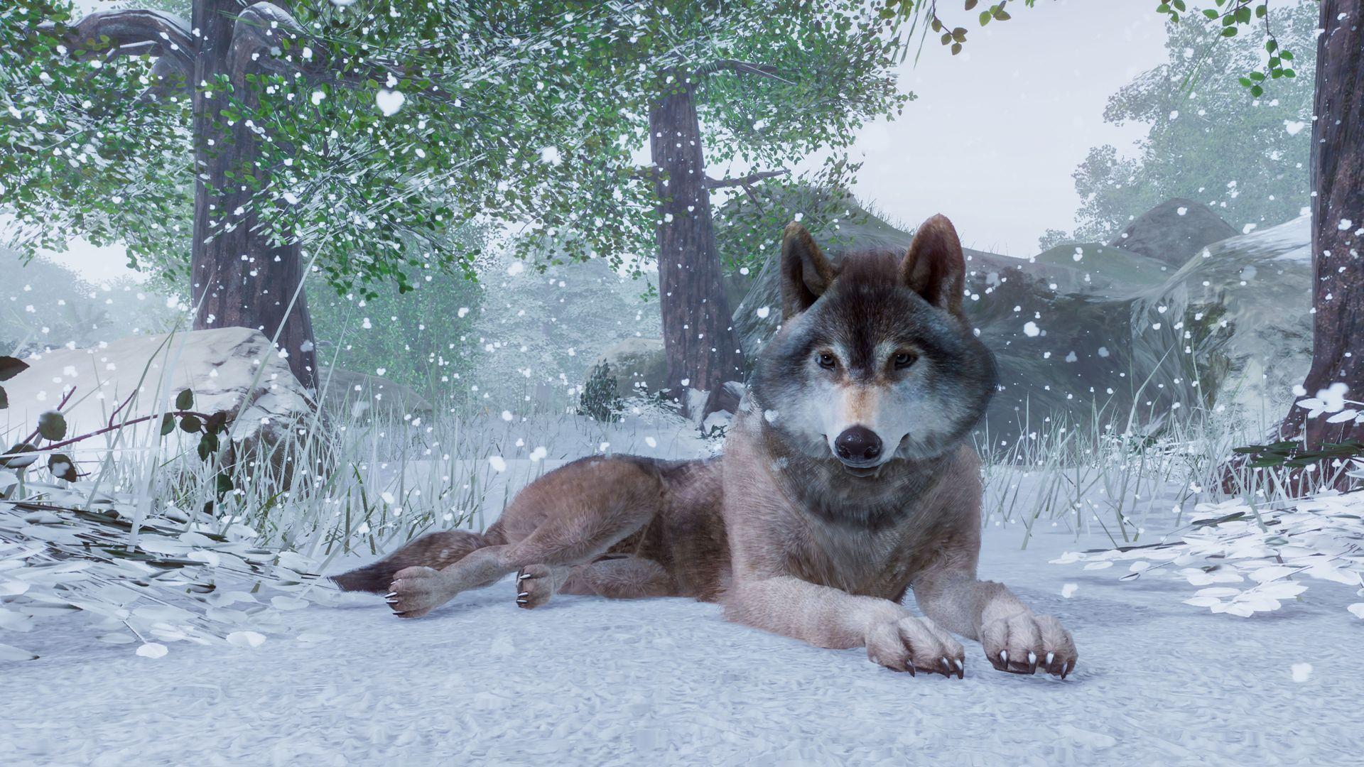 1920x1080 Planet Zoo is coming out in November, check out the E3 trailer