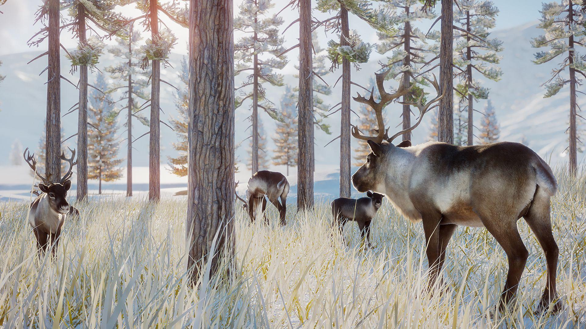 1920x1080 Planet Zoo developer to make new Formula One management games